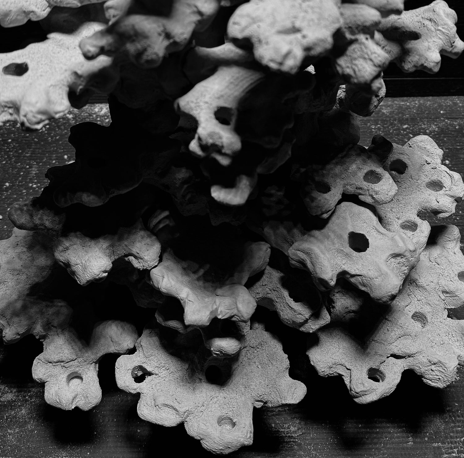 Reef Treasures: Petite Pieces