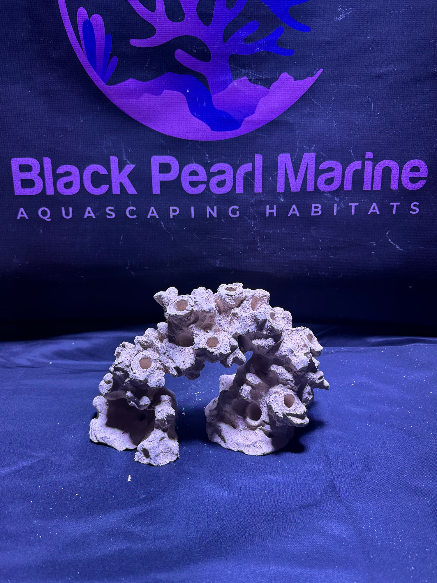 BPM Scape | Frag Arch | (370226) (L30cm/H16cm/D14cm)