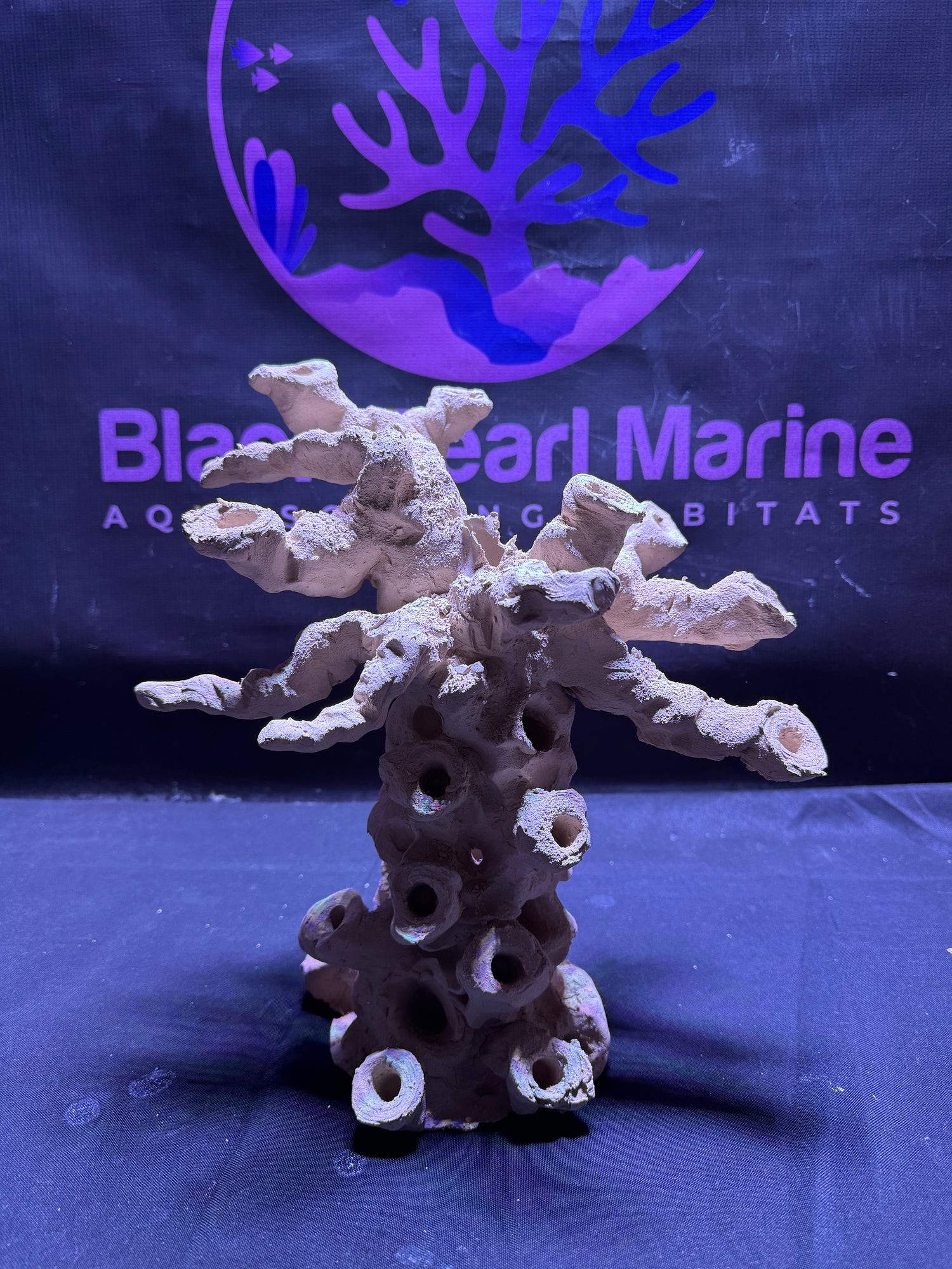 BPM Scape |Frag Tree (010226) (L30cm/H30cm/D18cm)