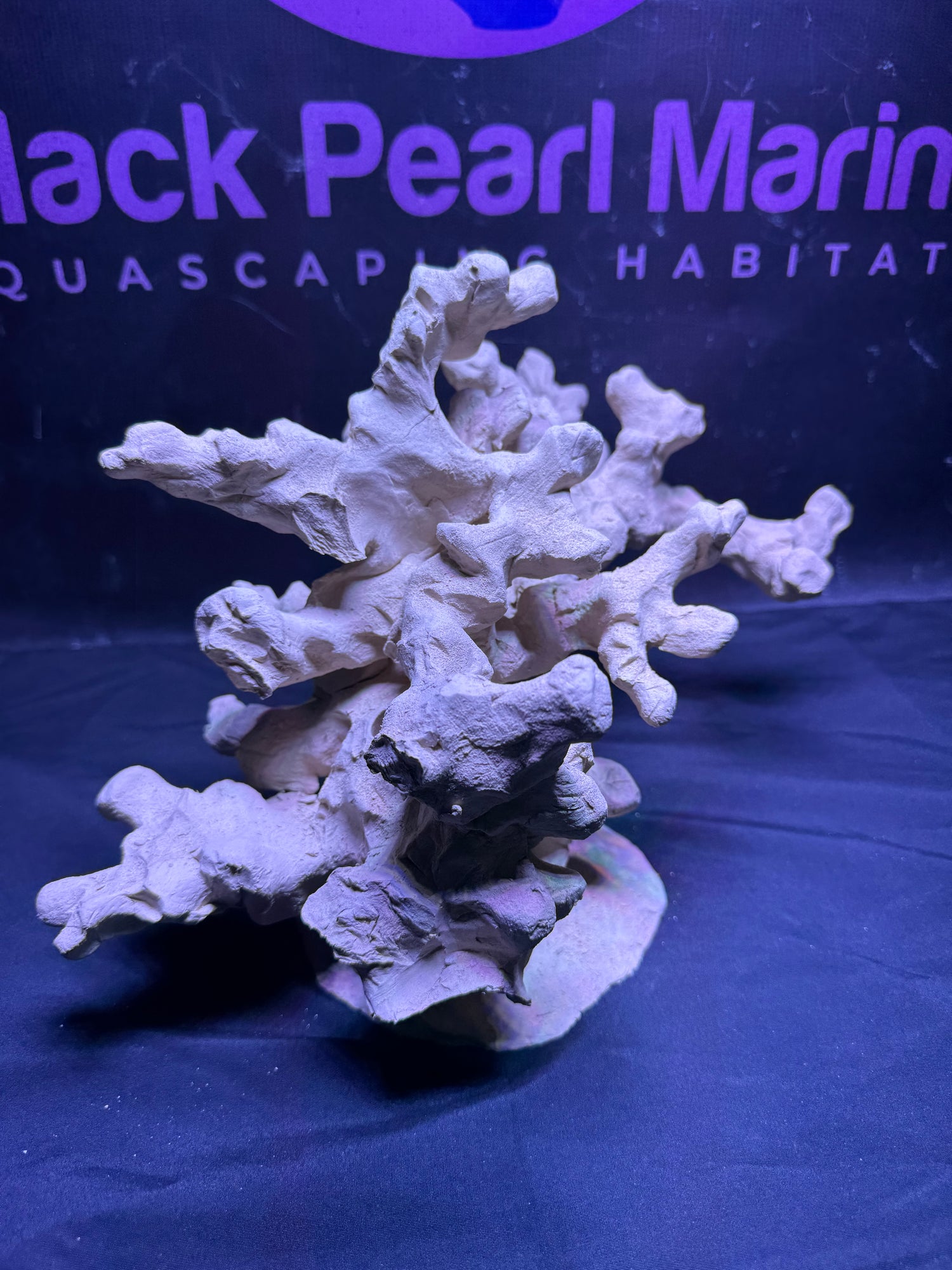 BPM Scape |Nano| #072618 |L35cm | H21cm | D20cm
