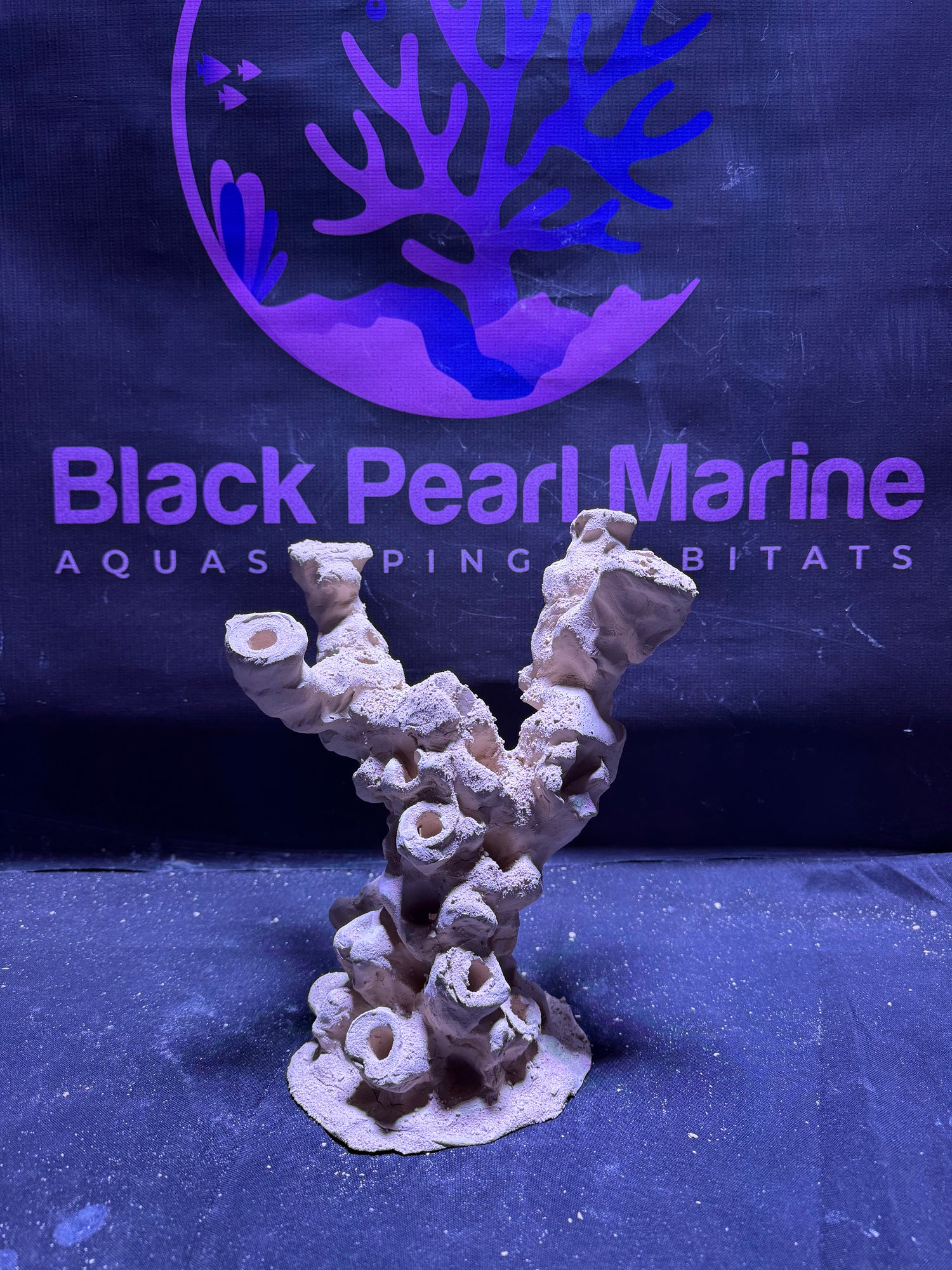 BPM Scape | Frag Pillar (140226) |(L24cm/H26cm/D16cm)