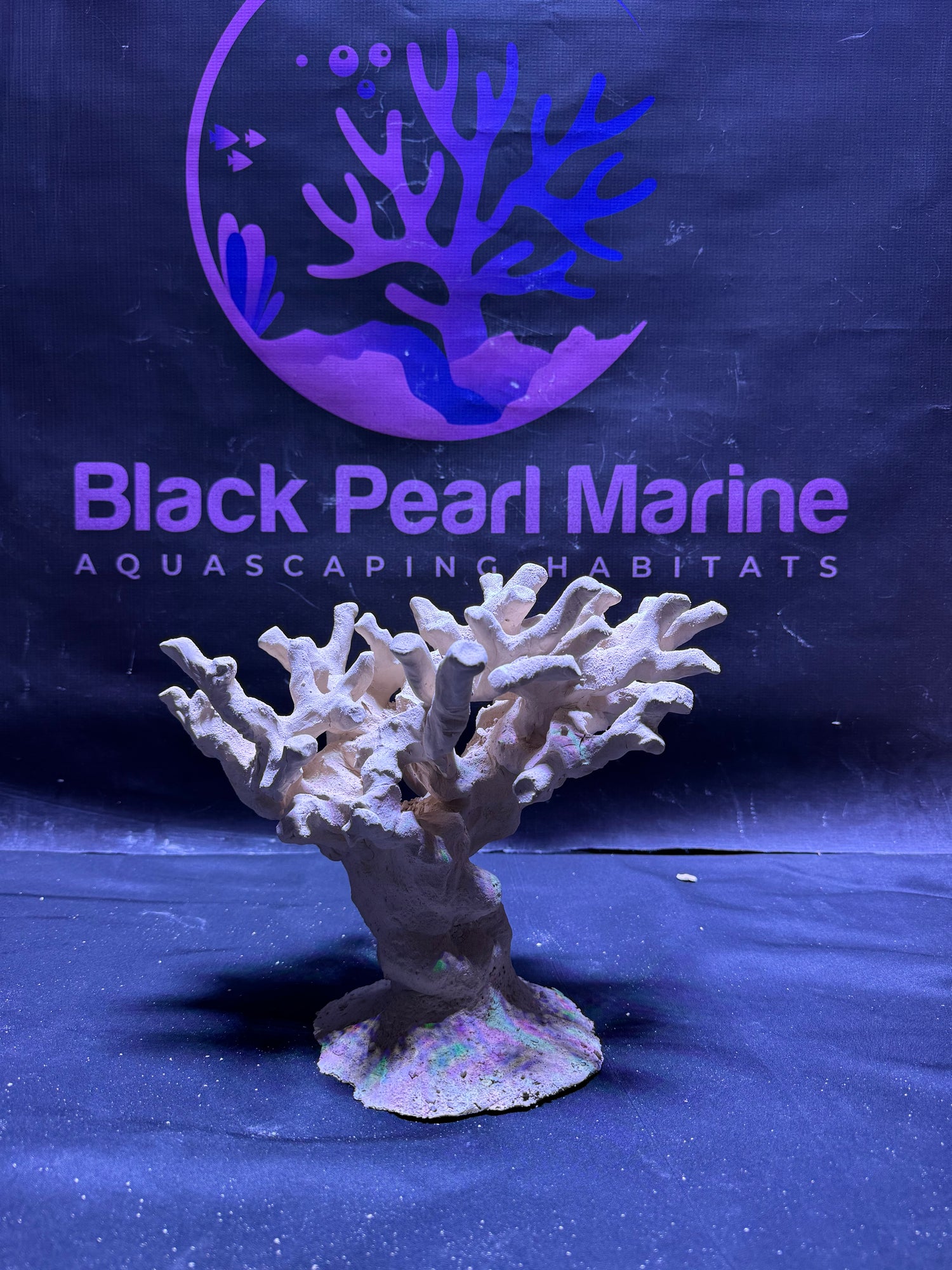 BPM Scape | Nano Branch| #030526 | L29cm | H21cm | D20cm
