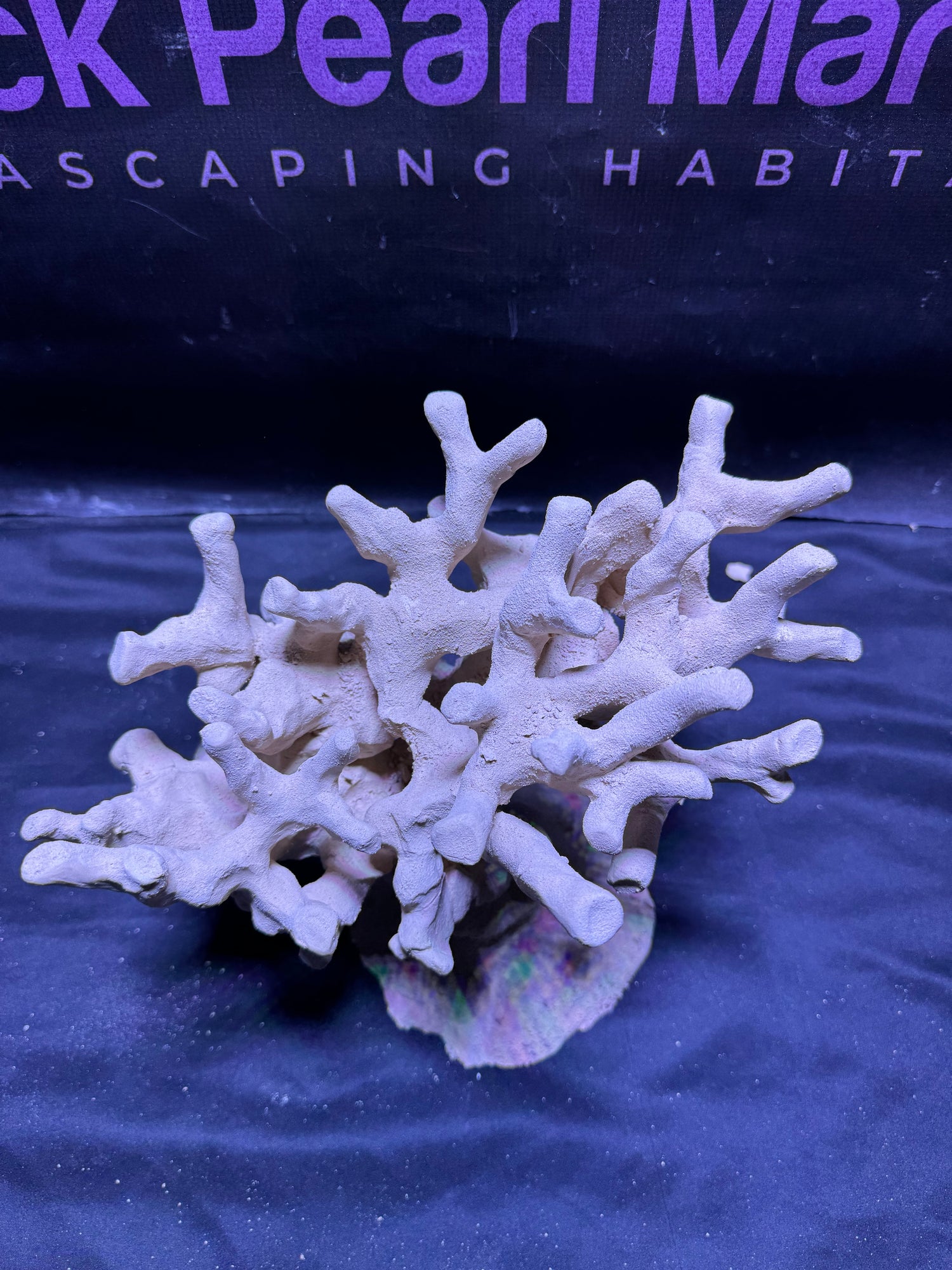 BPM Scape | Nano Branch| #030526 | L29cm | H21cm | D20cm
