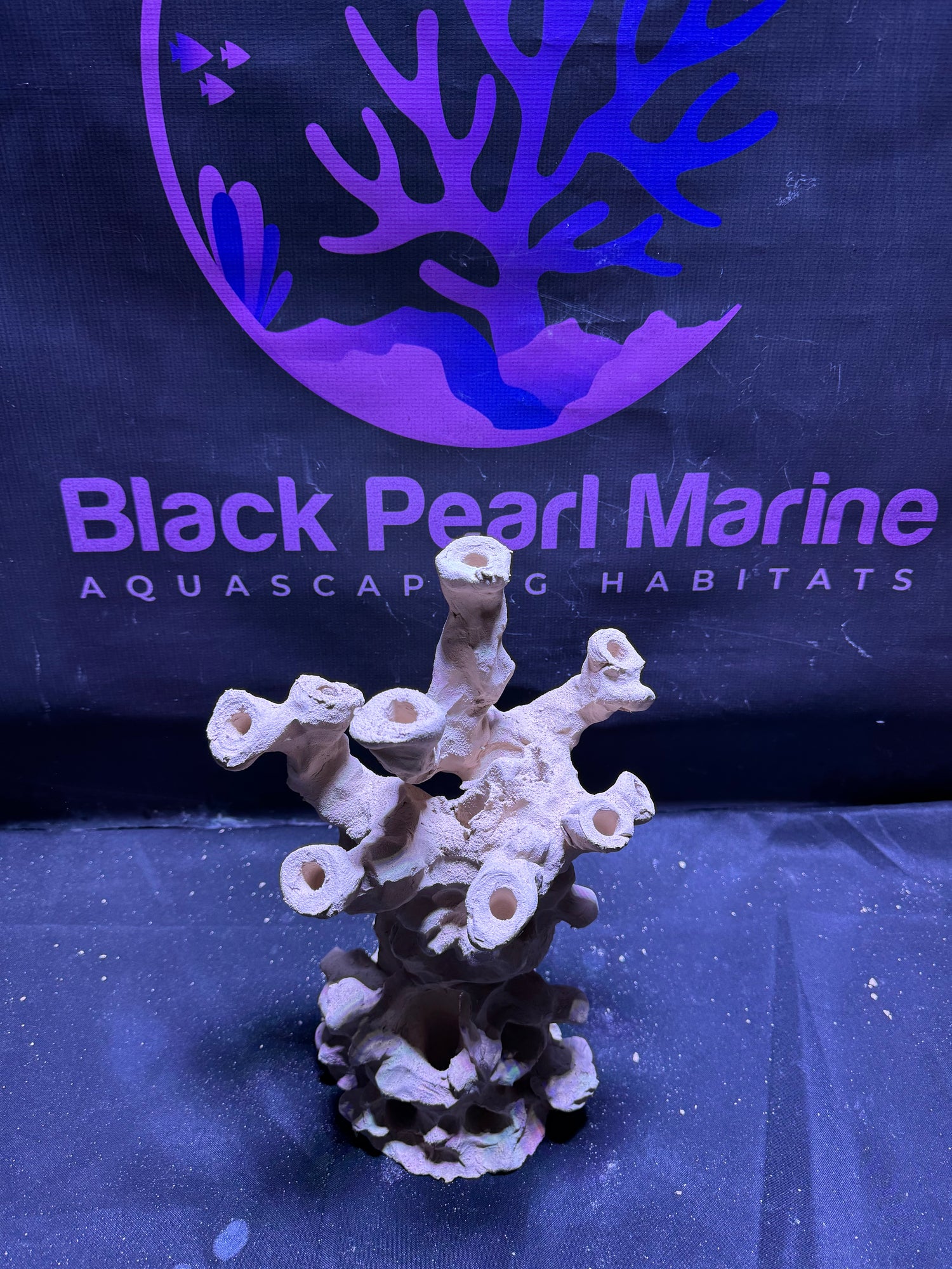 BPM Scape |Frag Pillar (110226) (L25cm/H32cm/D17cm)