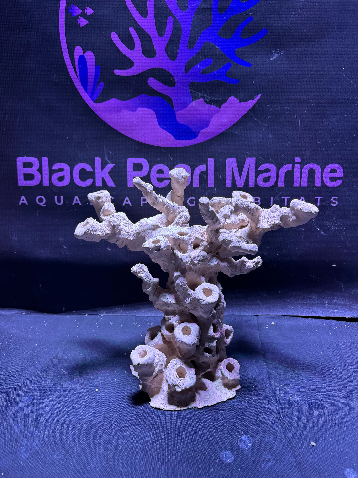 BPM Scape |Frag Pillar (081225) (L35cm/H28cm/D22cm)