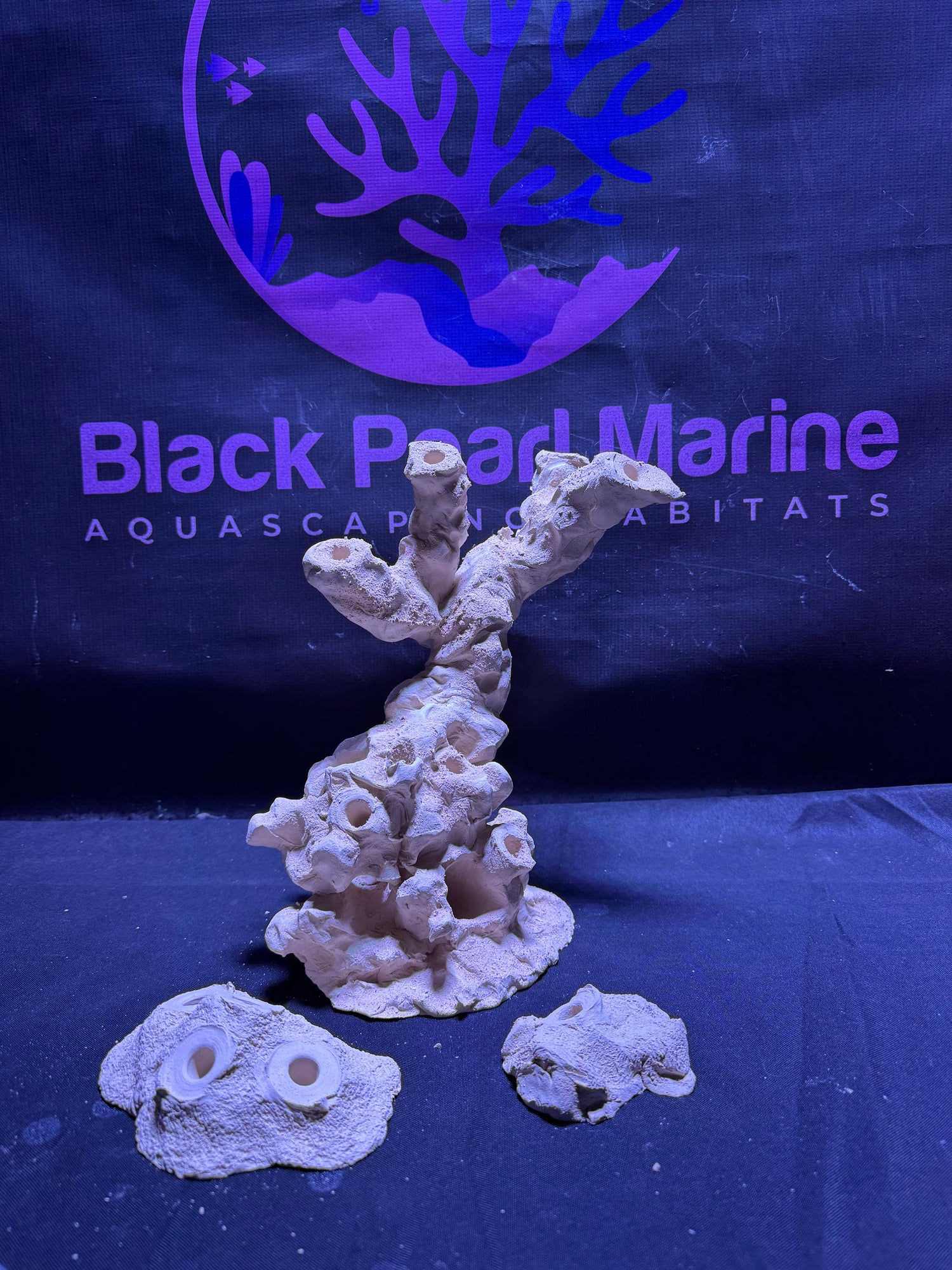 BPM Scape |Frag Stump (020226) (L26cm/H17cm/D16cm)