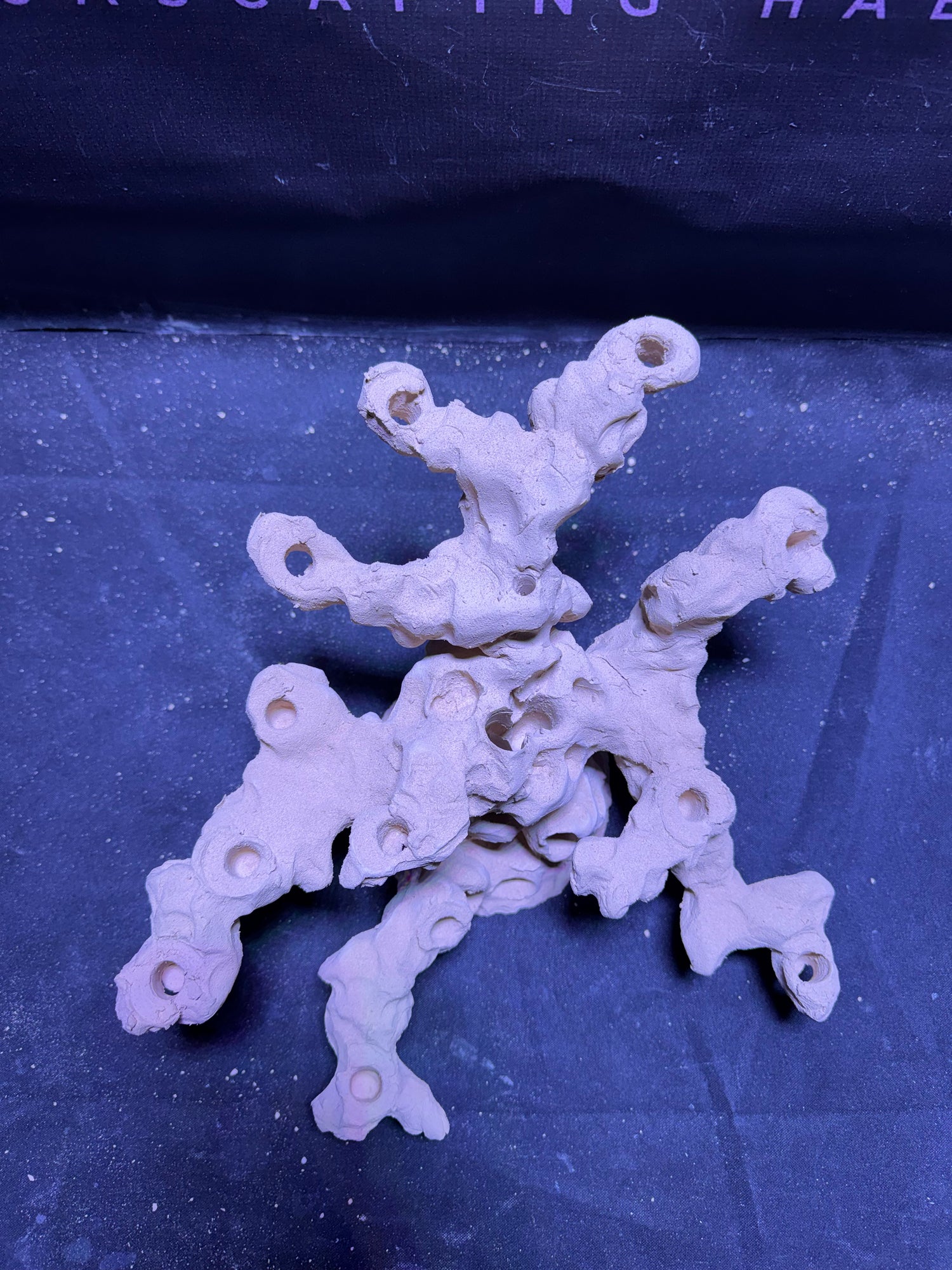 BPM Scape | Nano (130226)| (L34cm/H17cm/D30cm)