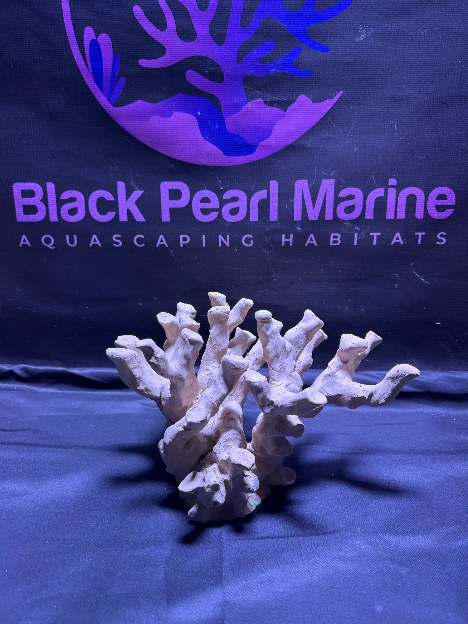 BPM Scape | Nano (260226) |(L31cm/H17cm/D23cm)