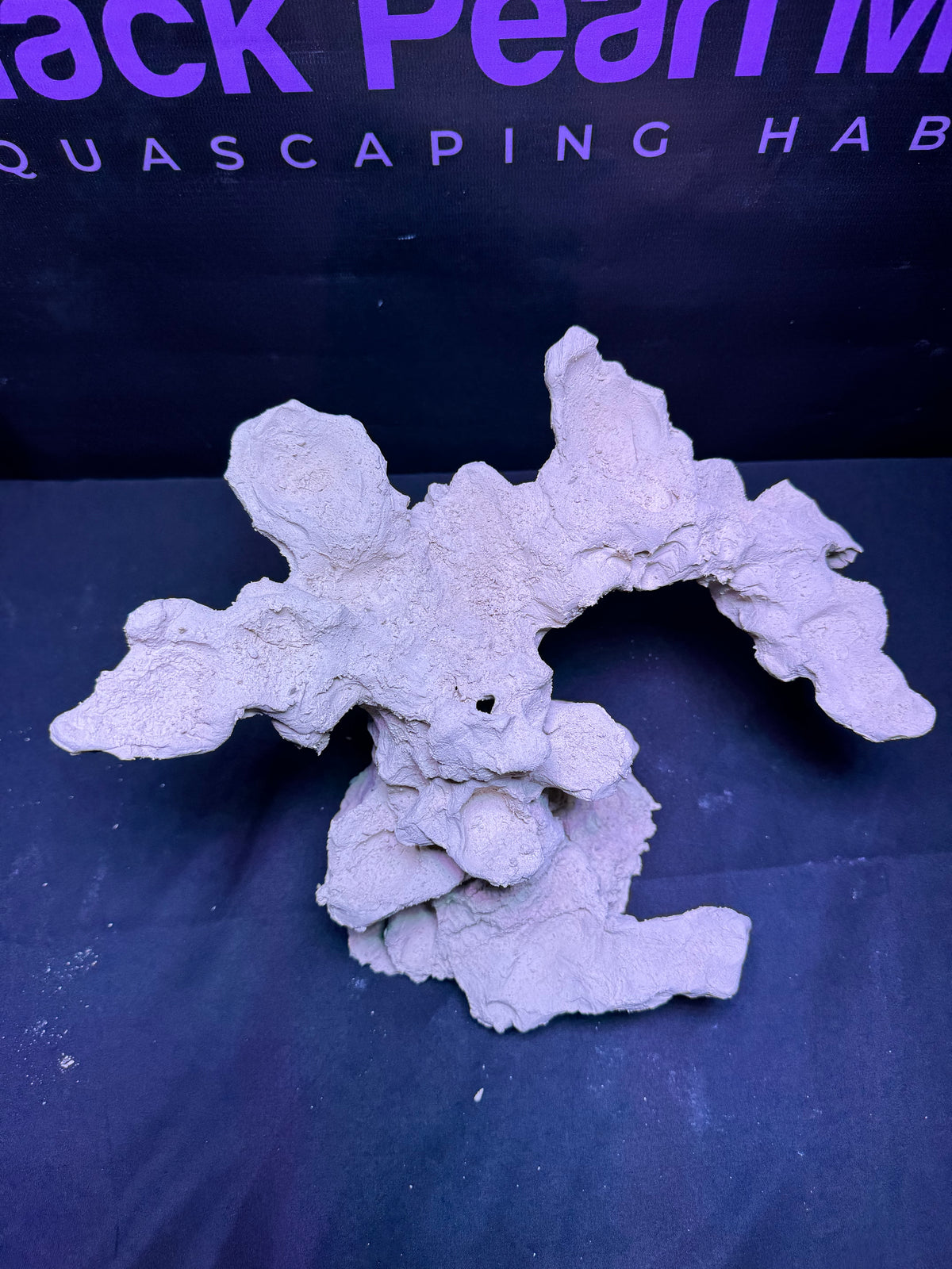 BPM Scape | Nano | #539898 | 31 × 17 × 20 cm