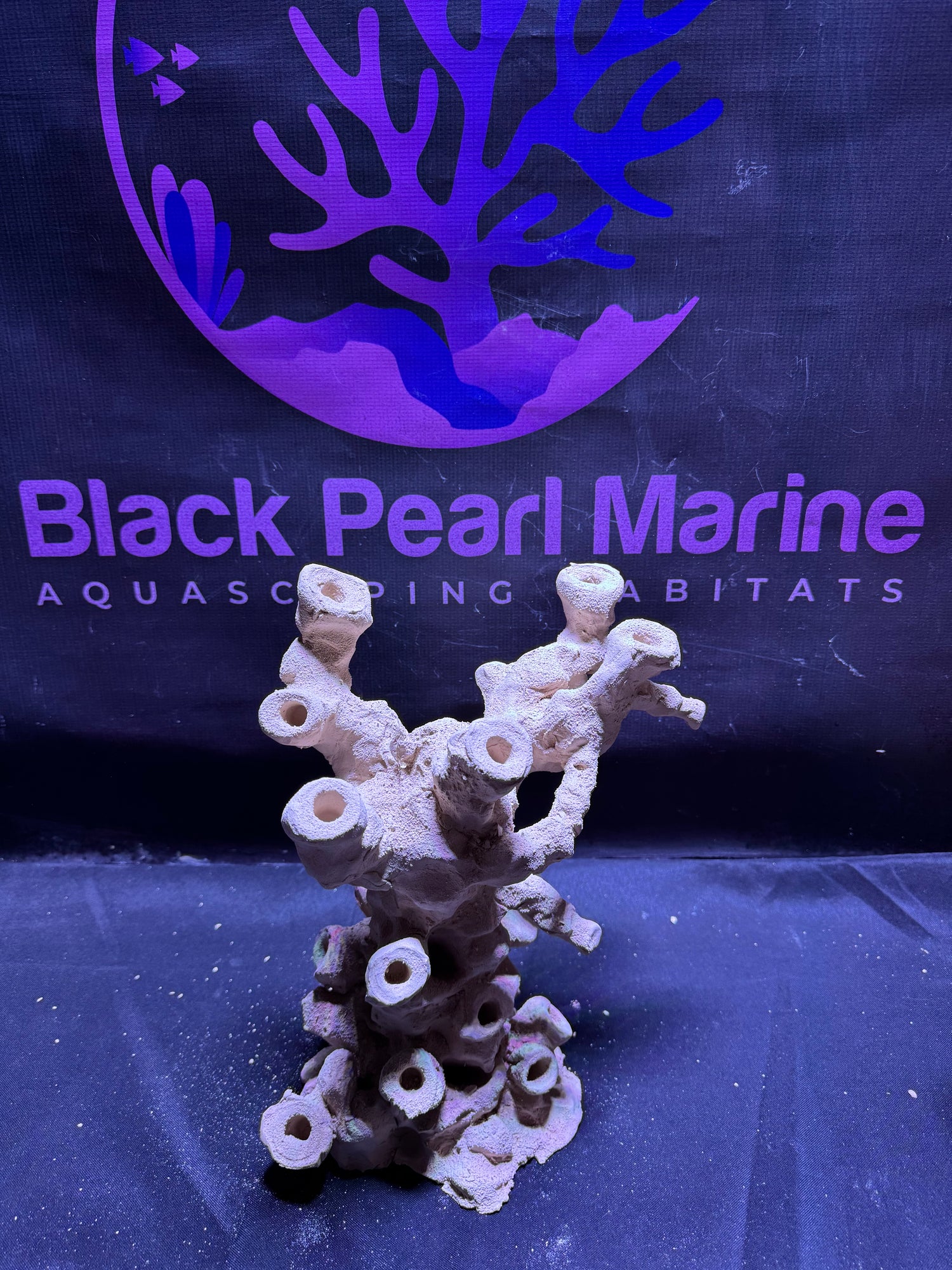 BPM Scape |Frag Pillar (070226) (L26cm/H26cm/D18cm)