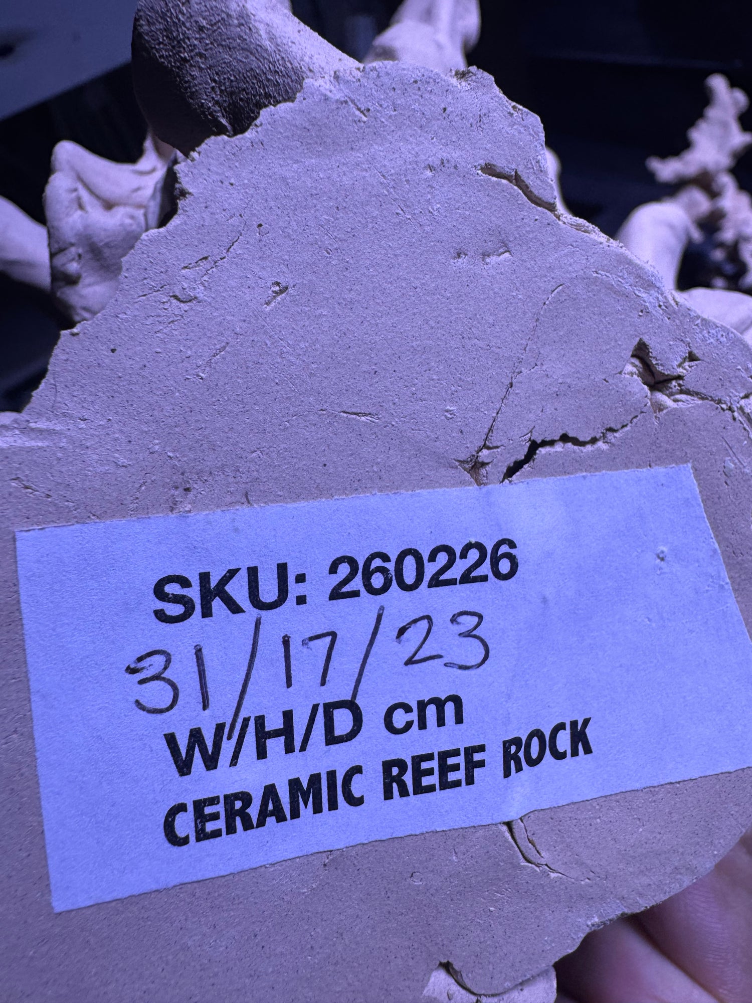 BPM Scape | Nano (260226) |(L31cm/H17cm/D23cm)