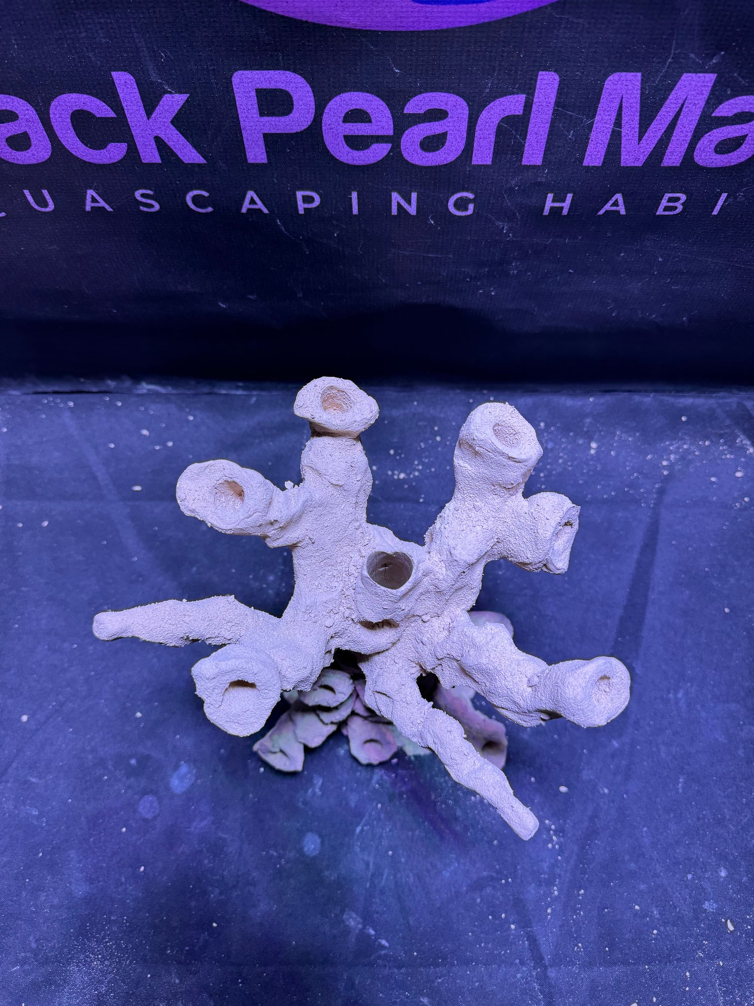 BPM Scape | Frag Stump | (180226) (L26cm/H27cm/D22cm)