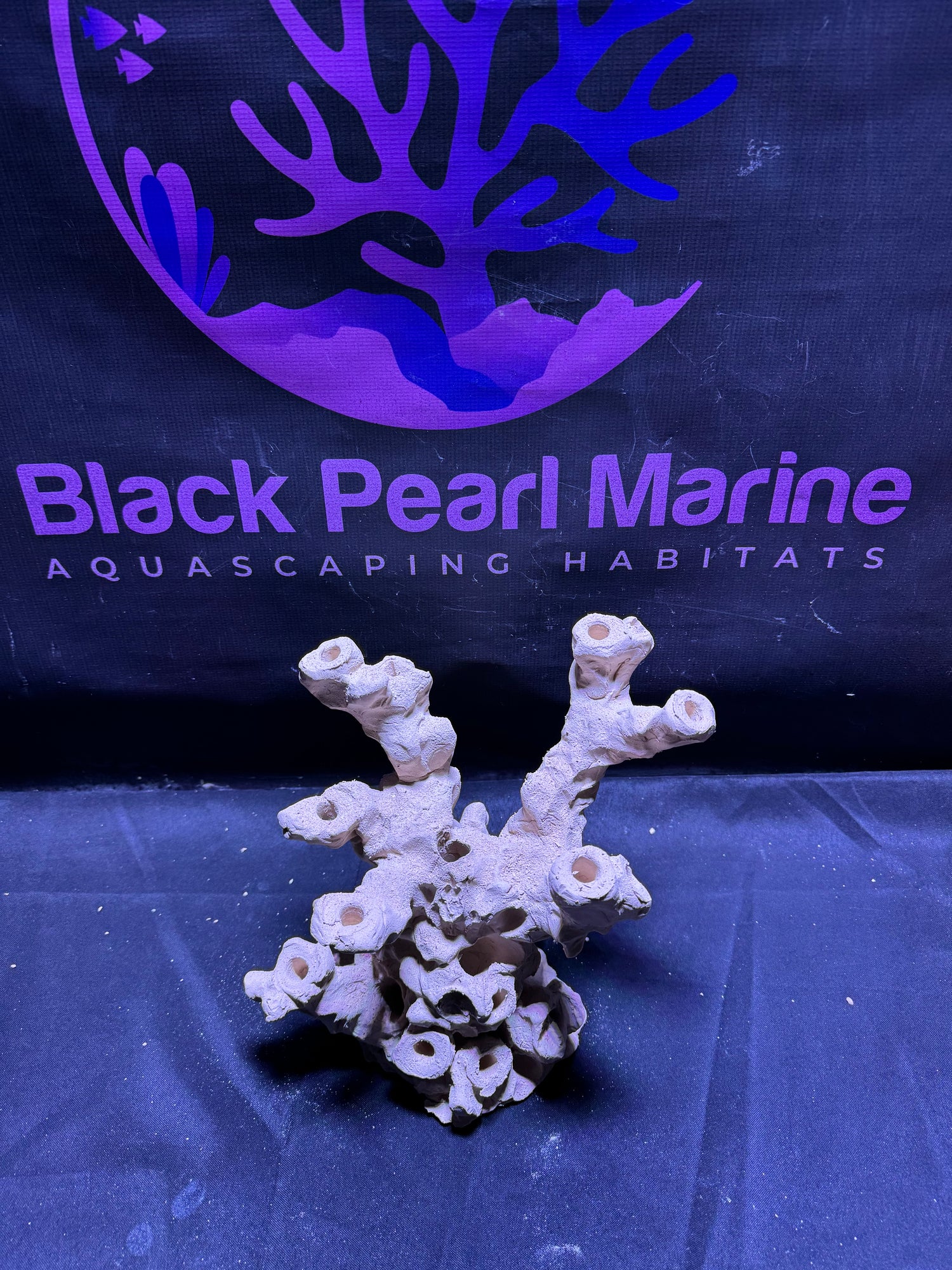 BPM Scape |Frag Stump (030226) (L25cm/H25cm/D22cm)