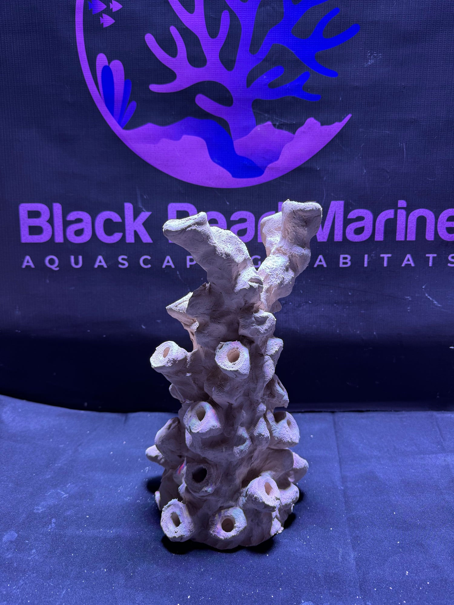 BPM Scape |Frag Pillar (111225) (L20cm/H29cm/D18cm)