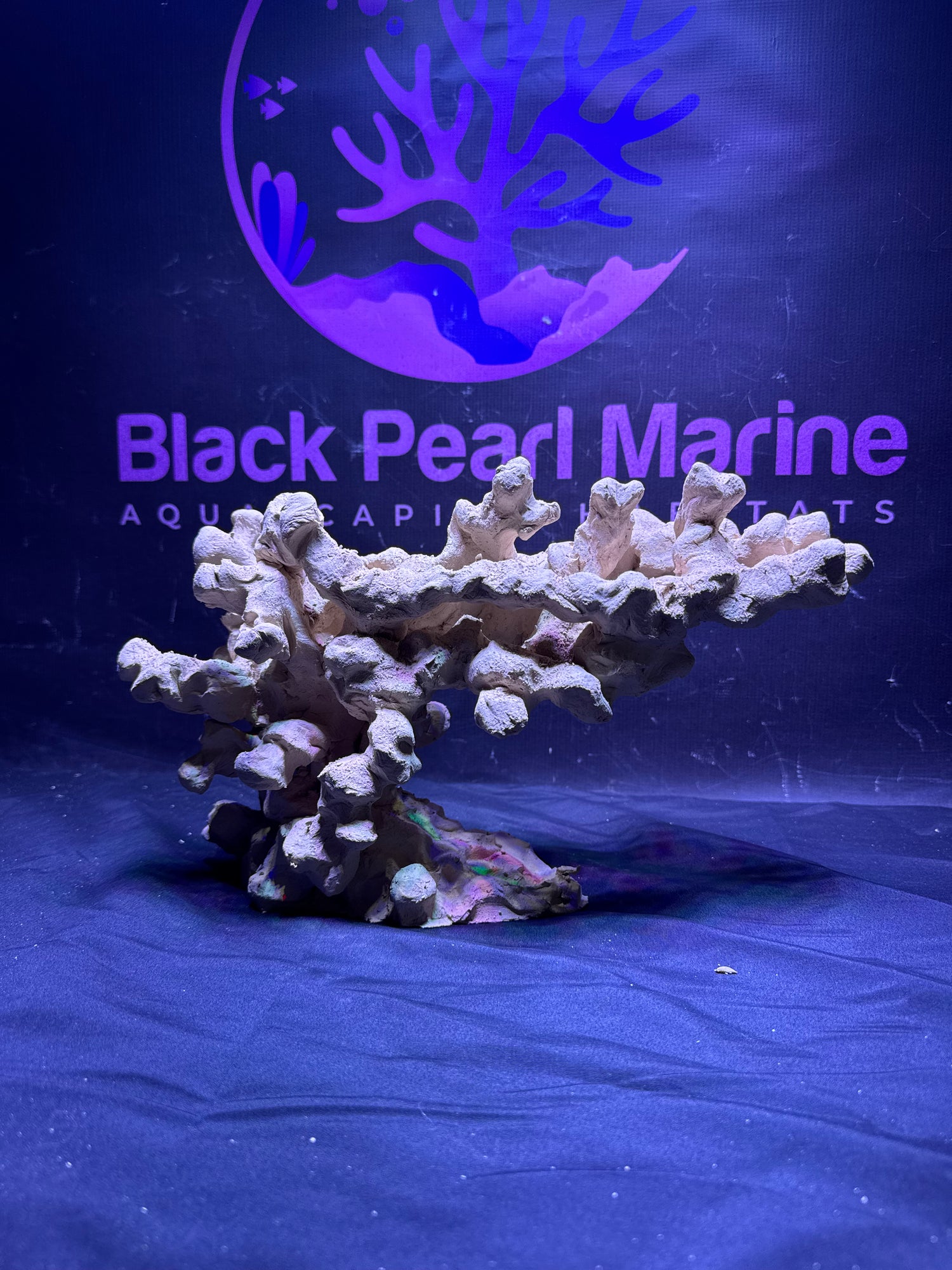 BPM Scape |Nano| #072654| L34cm | H20cm | D18cm