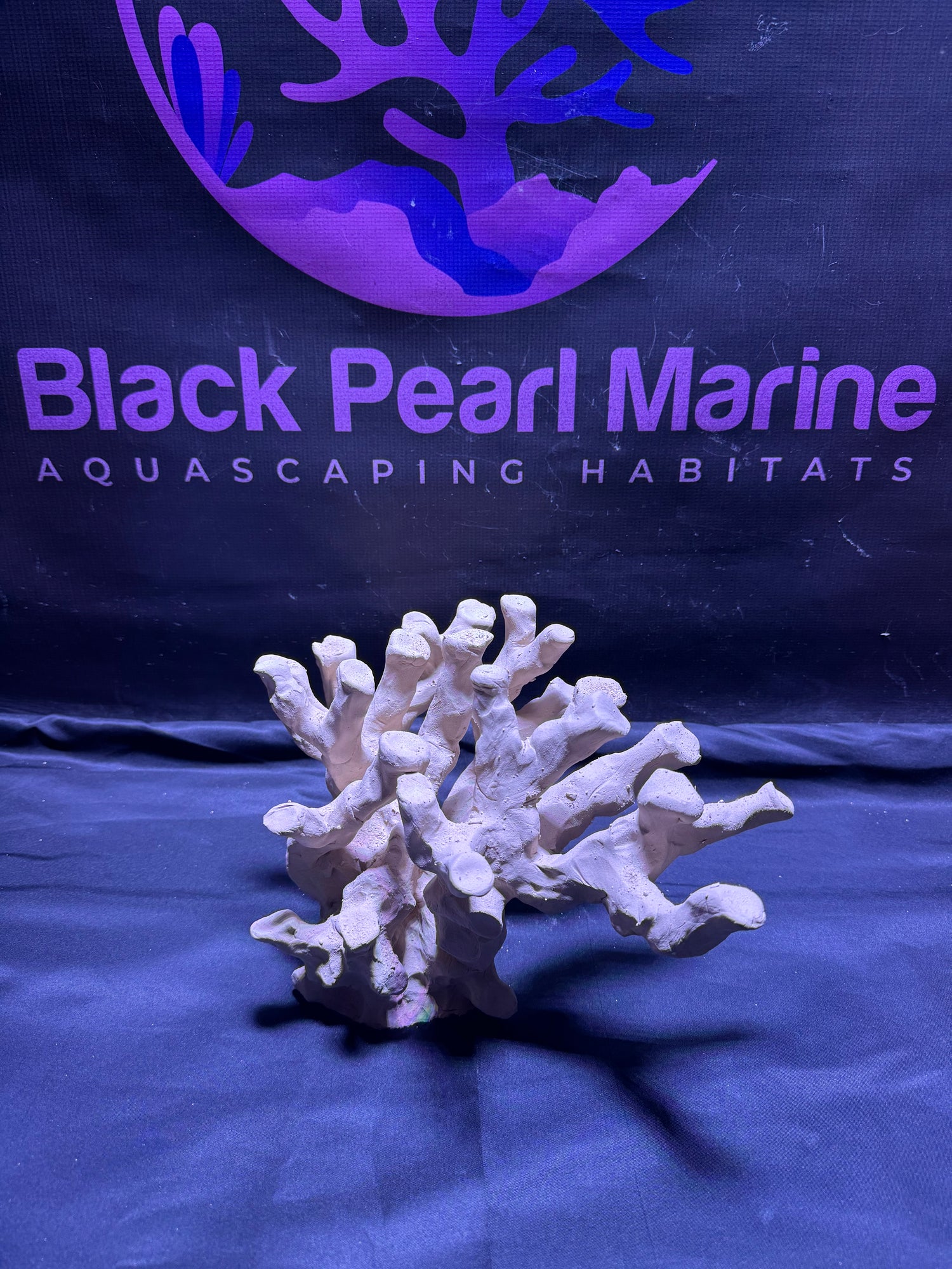 BPM Scape | Nano (260226) |(L31cm/H17cm/D23cm)