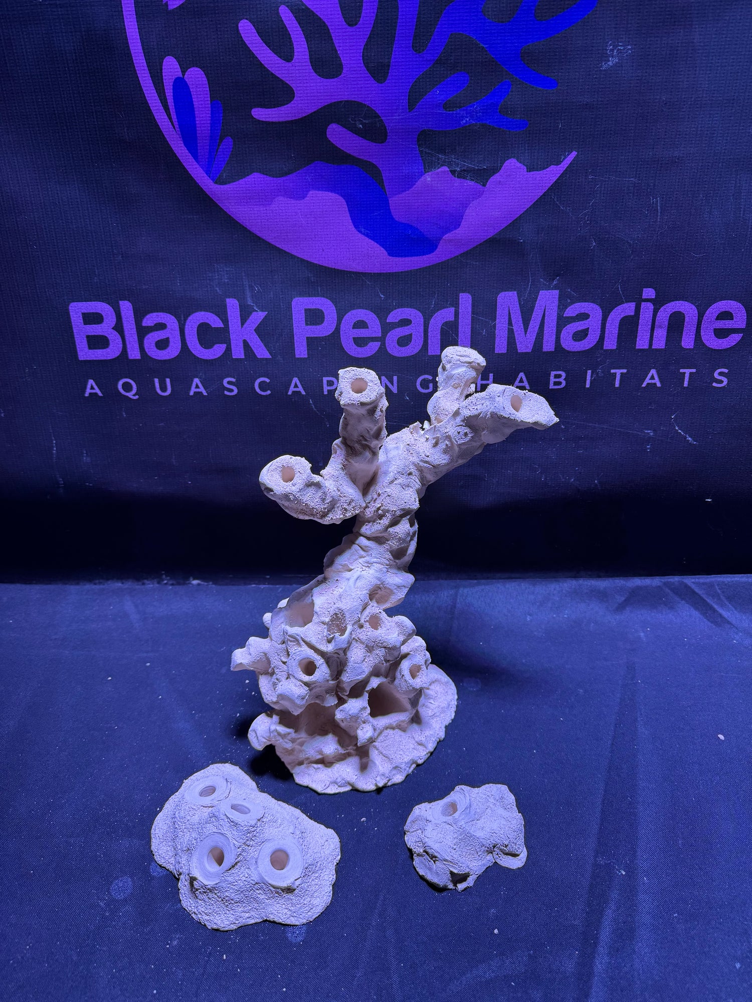 BPM Scape |Frag Stump (020226) (L26cm/H17cm/D16cm)