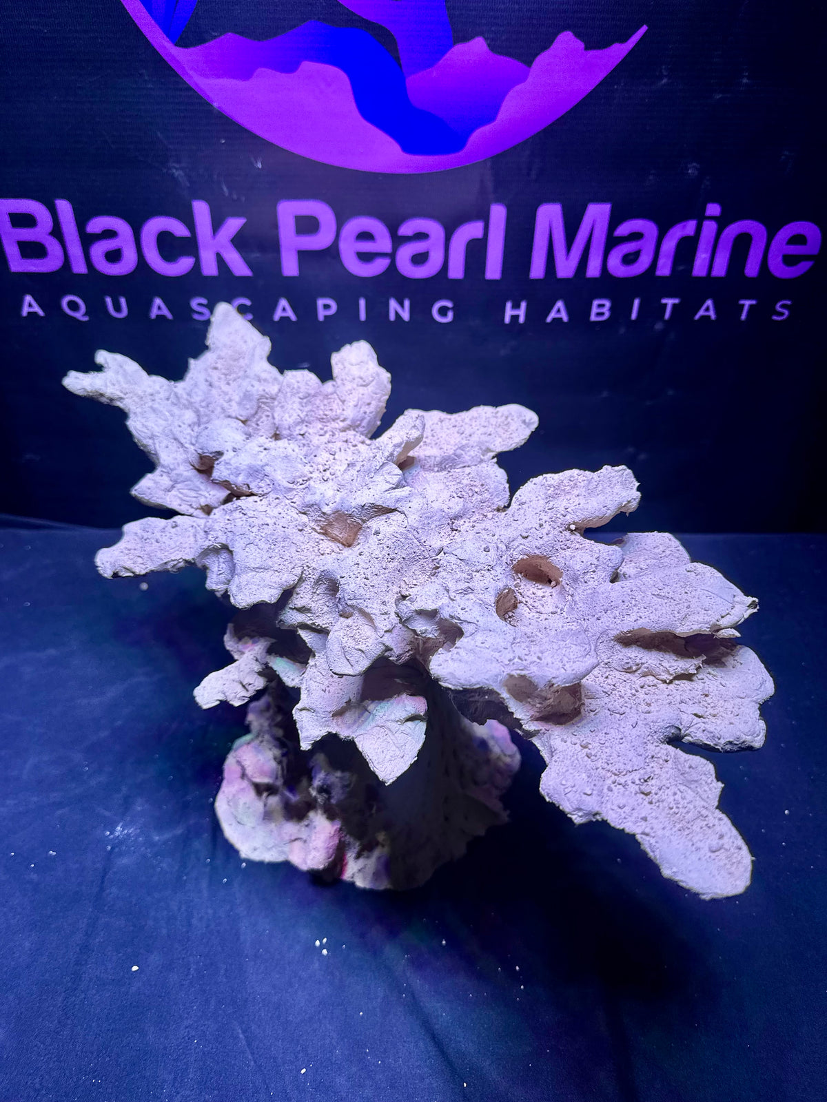 BPM Scape | Nano | #571029 | 40 × 22 × 23 cm