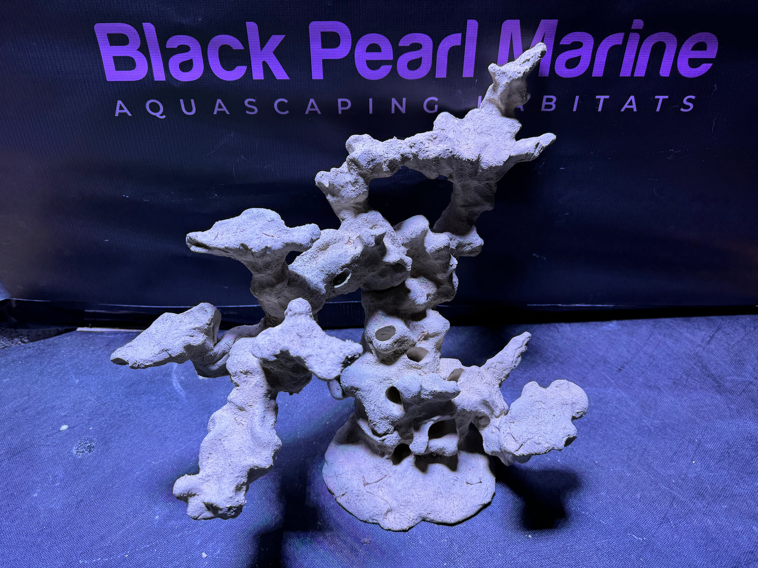BPM Scape | Floating Overhang