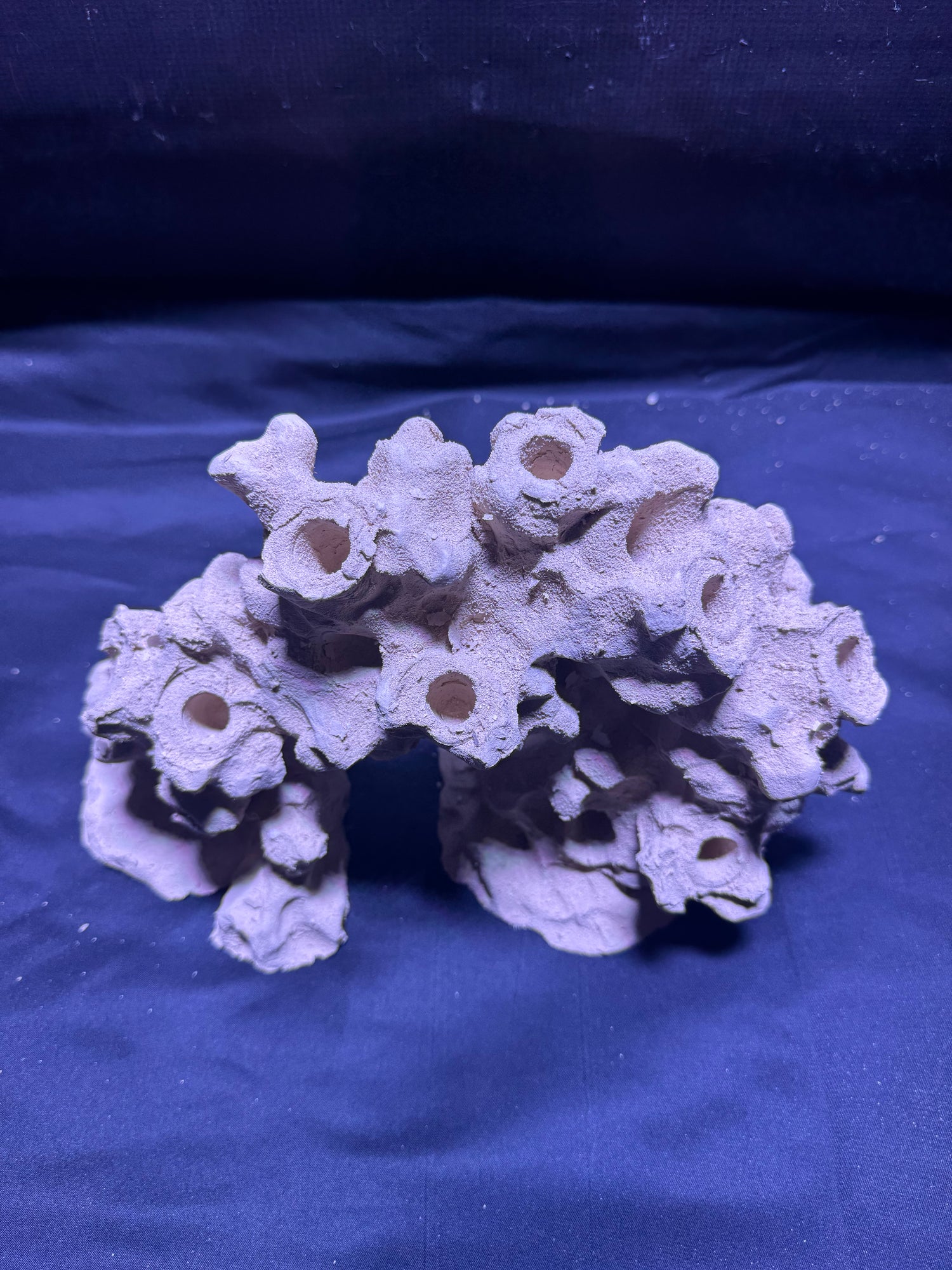 BPM Scape | Frag Arch | (370226) (L30cm/H16cm/D14cm)