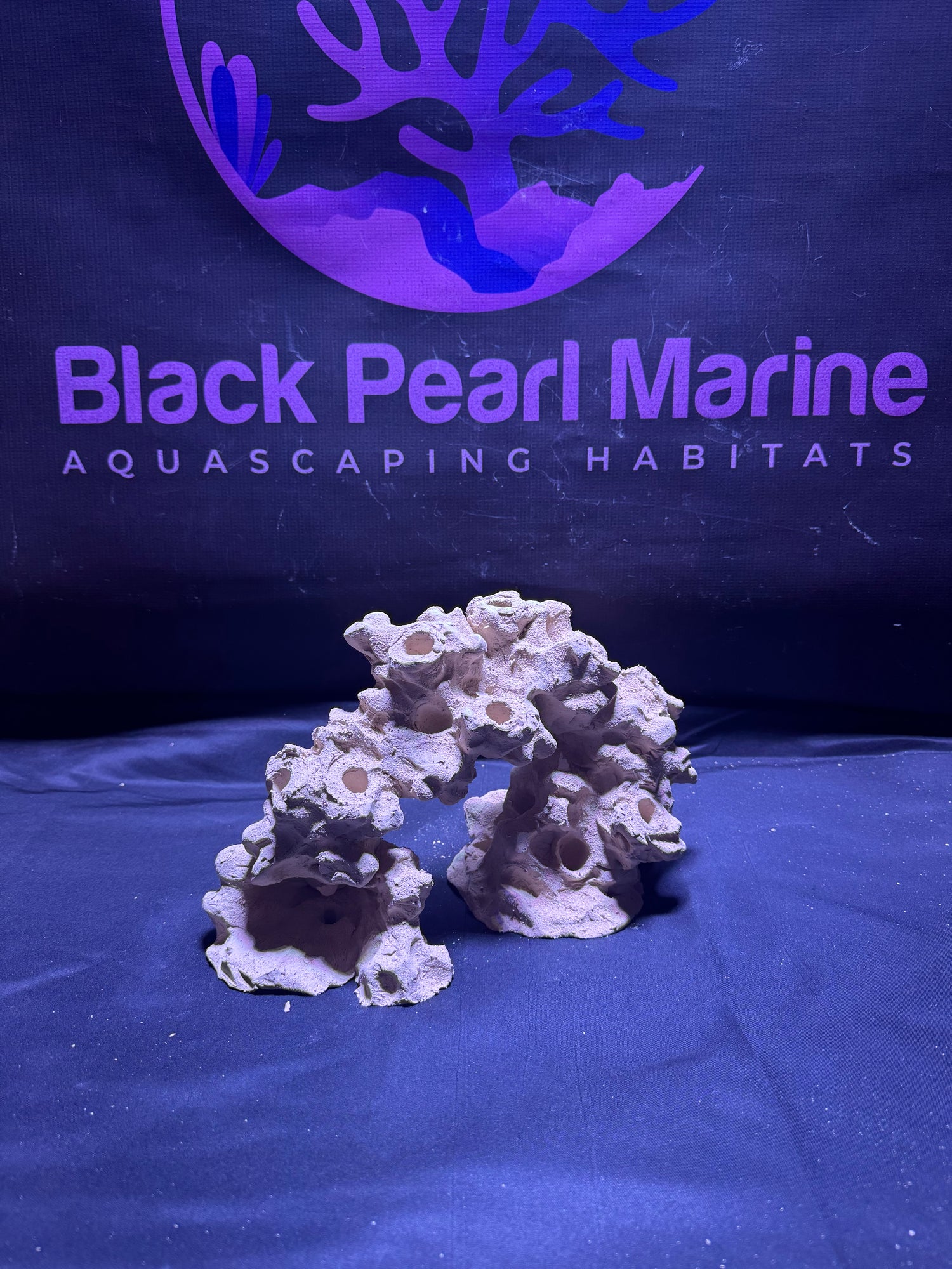 BPM Scape | Frag Arch | (370226) (L30cm/H16cm/D14cm)