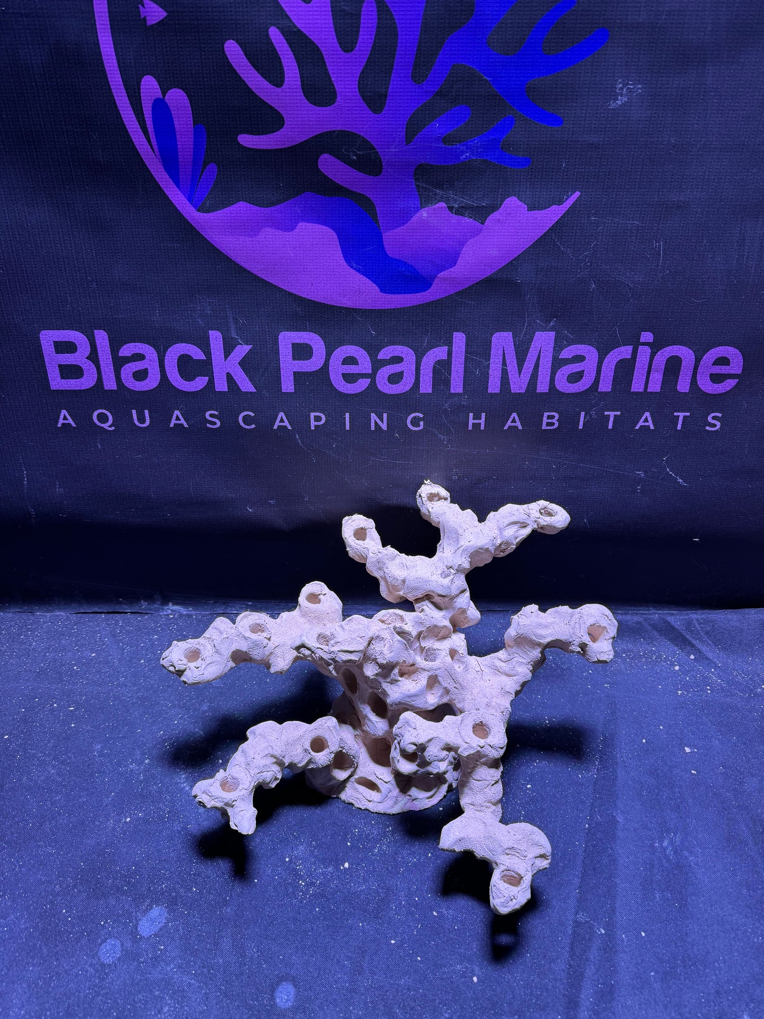 BPM Scape | Nano (130226)| (L34cm/H17cm/D30cm)