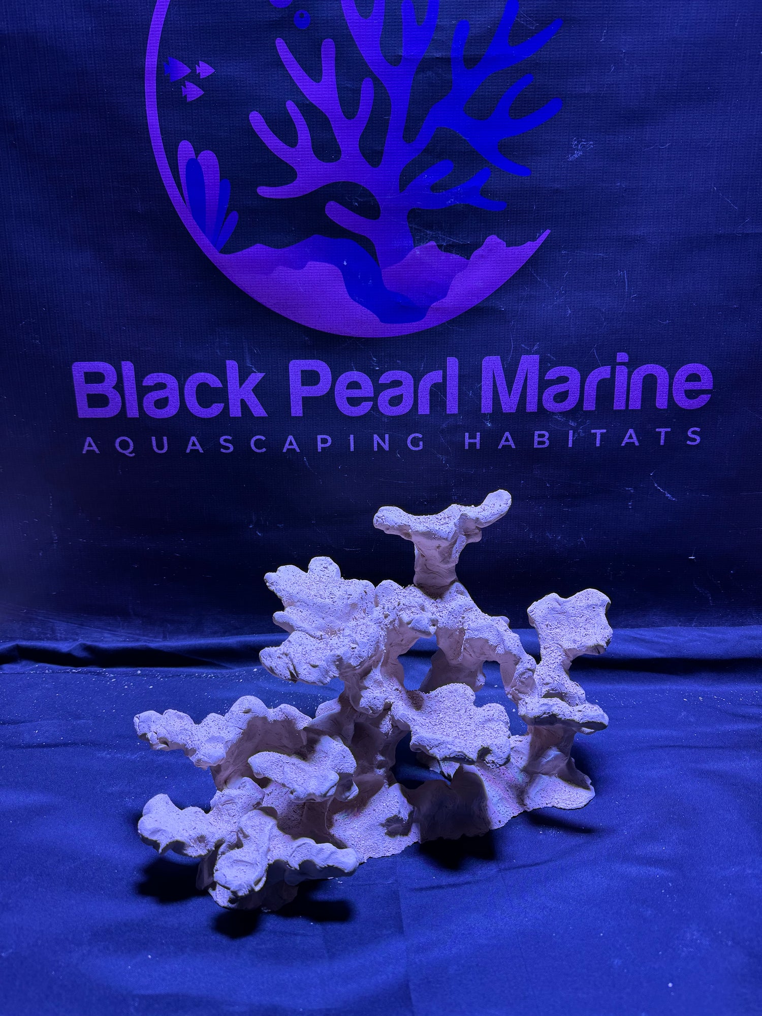 BPM Scape | Nano | (310226) (L34cm/H19cm/D22cm)