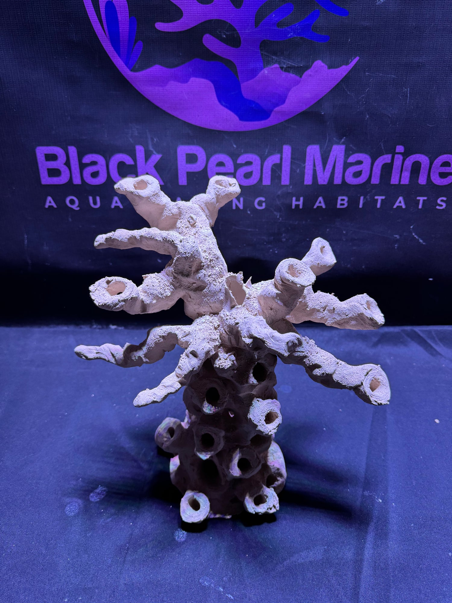 BPM Scape |Frag Tree (010226) (L30cm/H30cm/D18cm)
