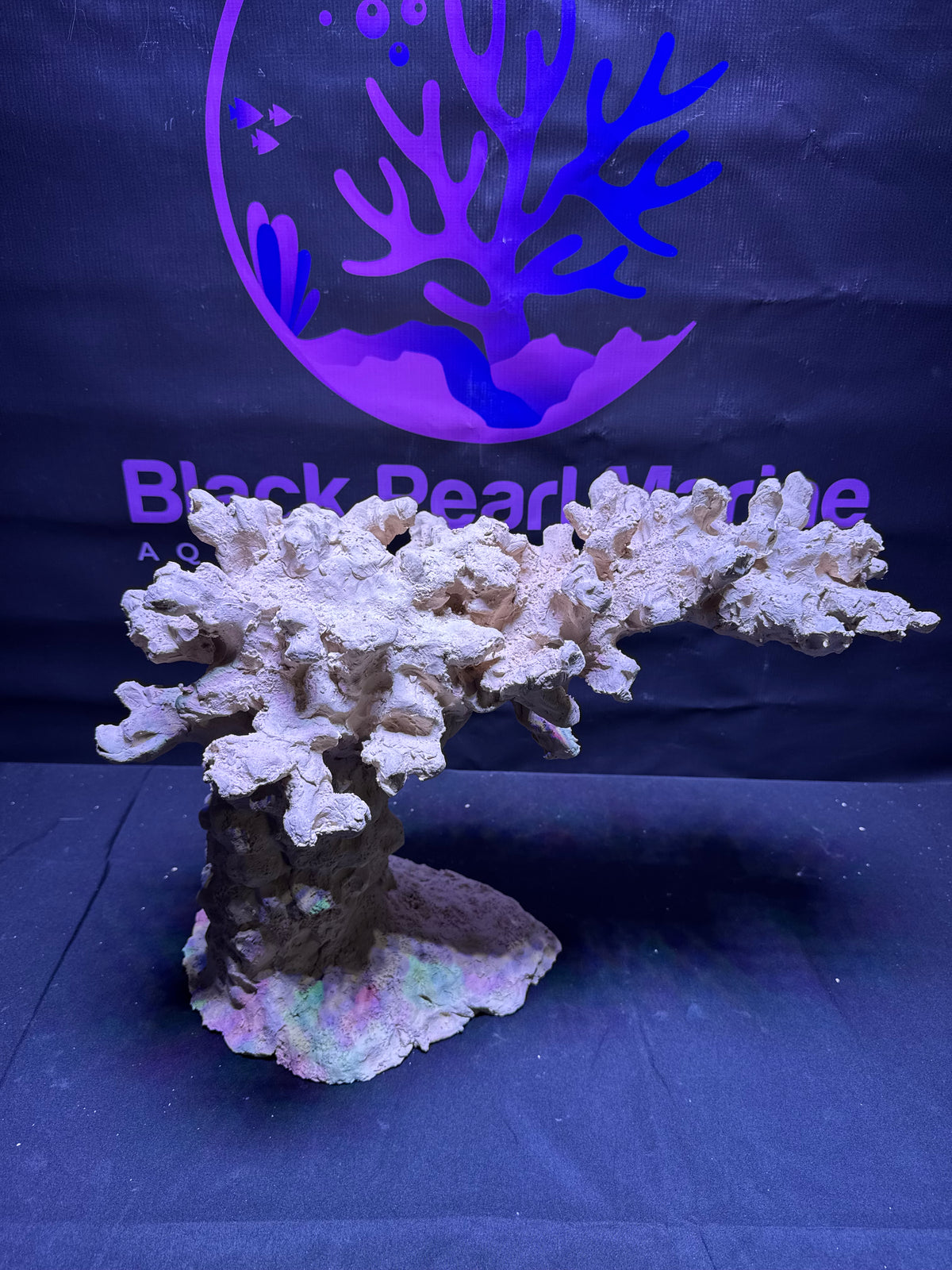 BPM Scape