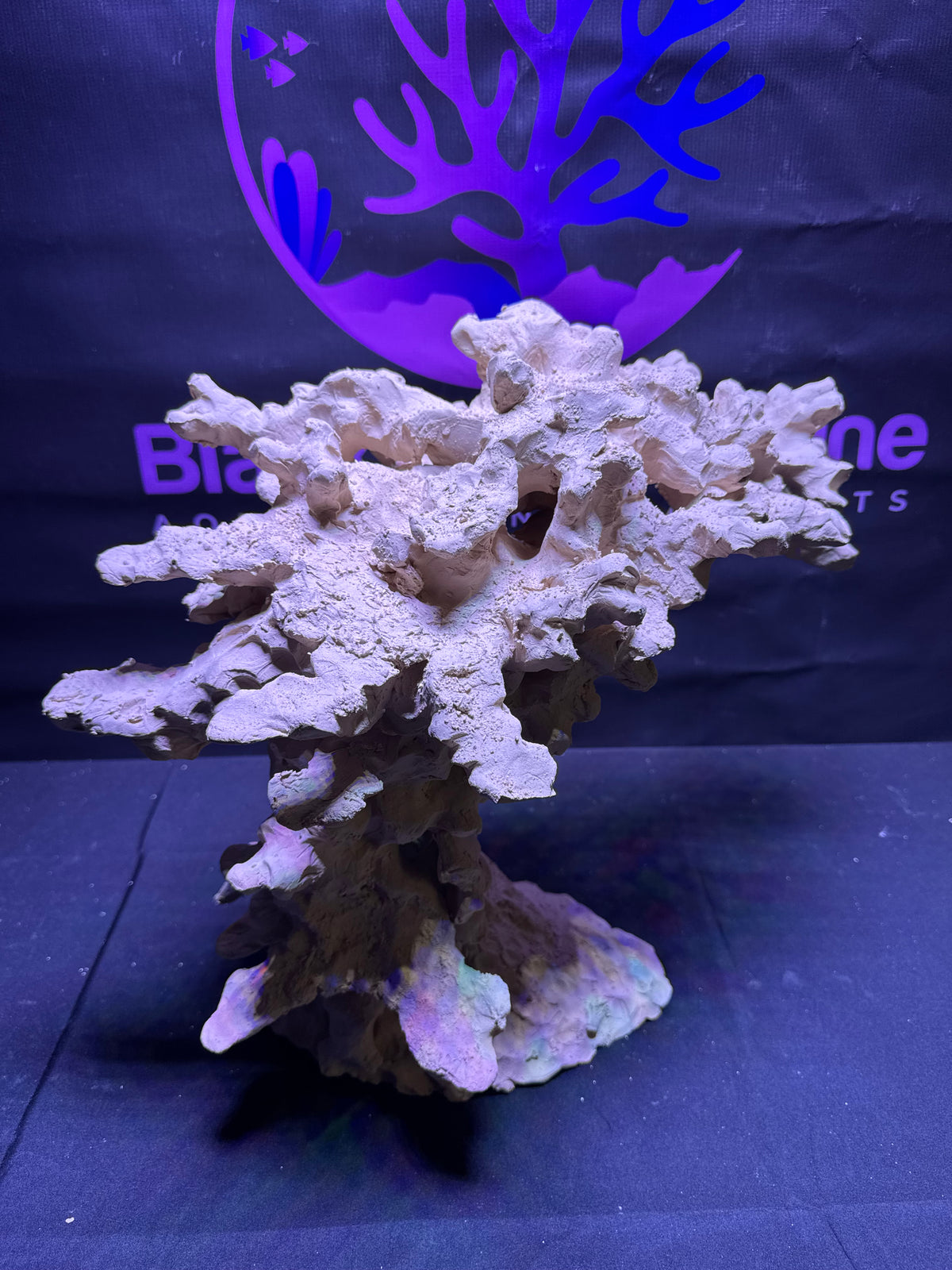 BPM Scape