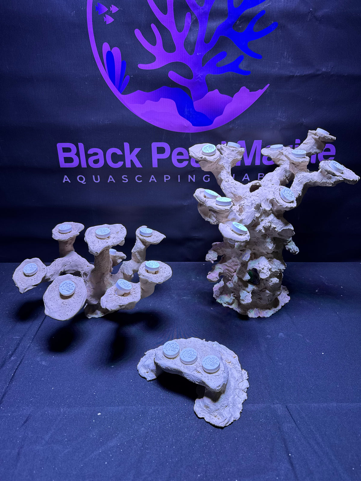 BPM Scape