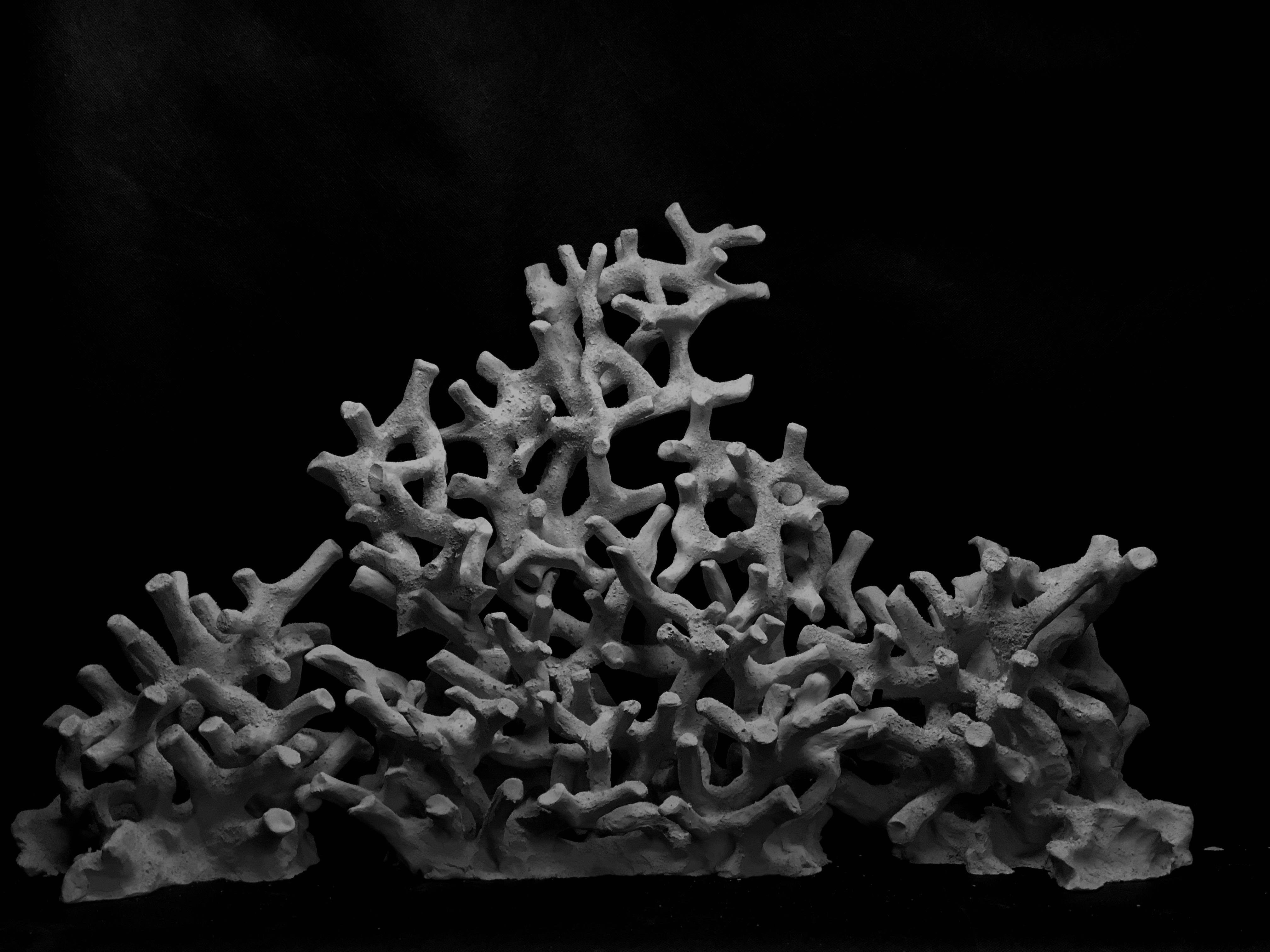 Branching Reef Rocks – Black Pearl Marine