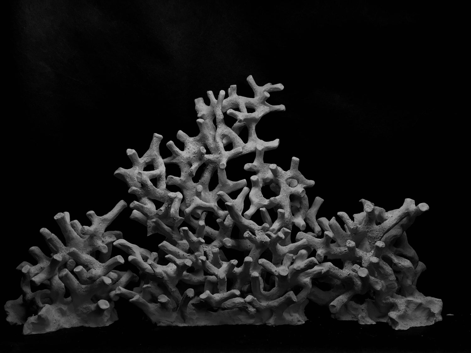 Branching Coral Scapes