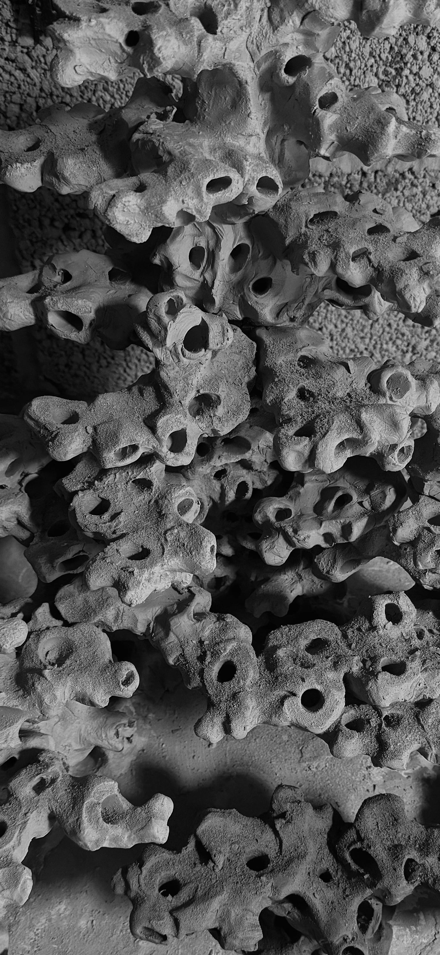 Archway Pillars of the Reef