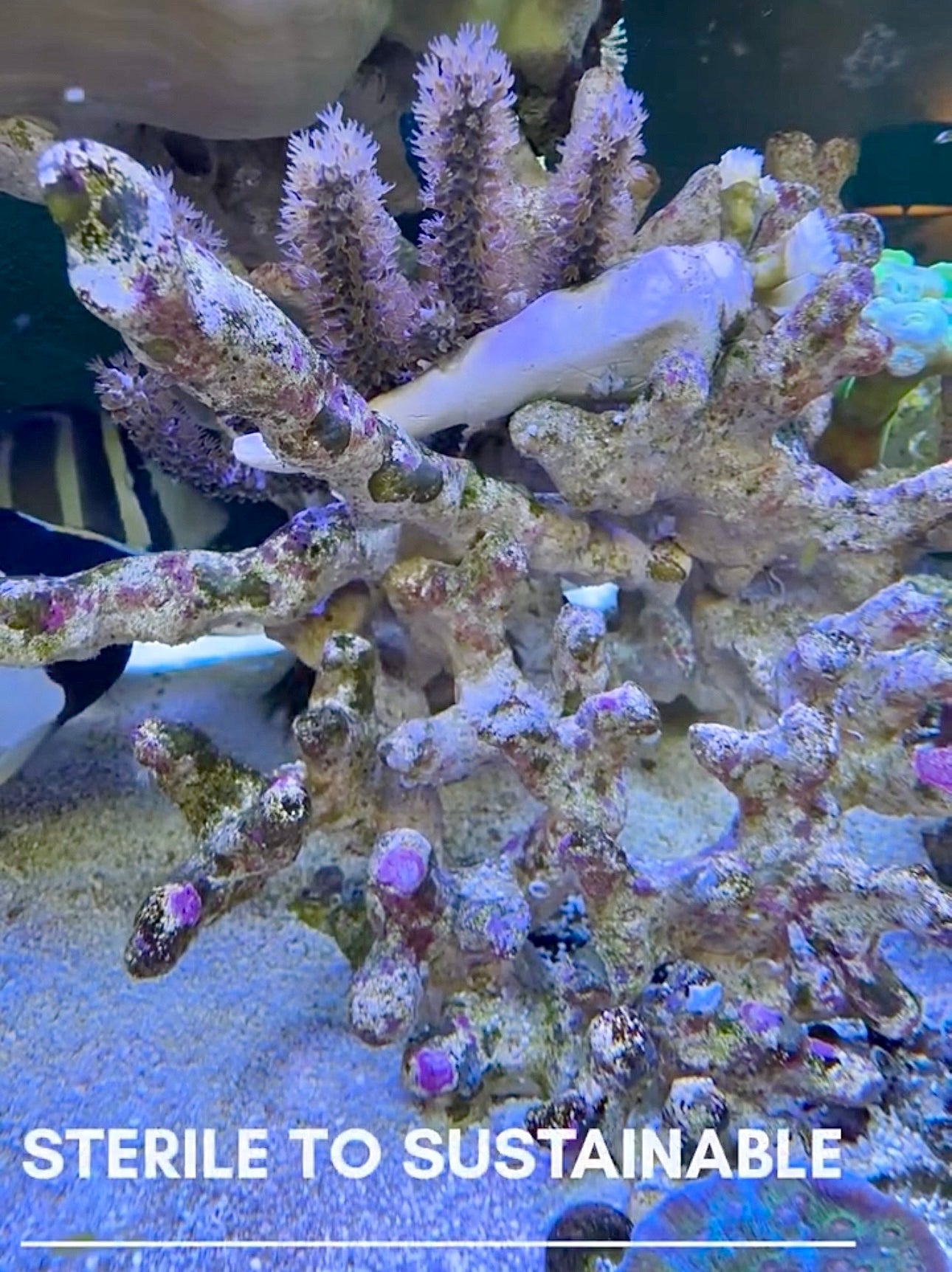 Bio Systems