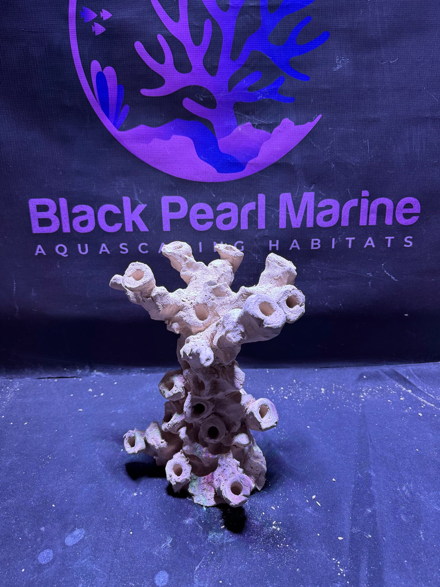 BPM Scape | Frag Stump | (180226) (L26cm/H27cm/D22cm)