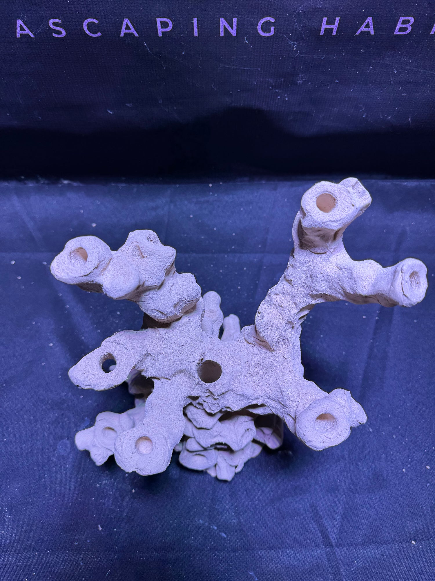BPM Scape |Frag Stump (030226) (L25cm/H25cm/D22cm)