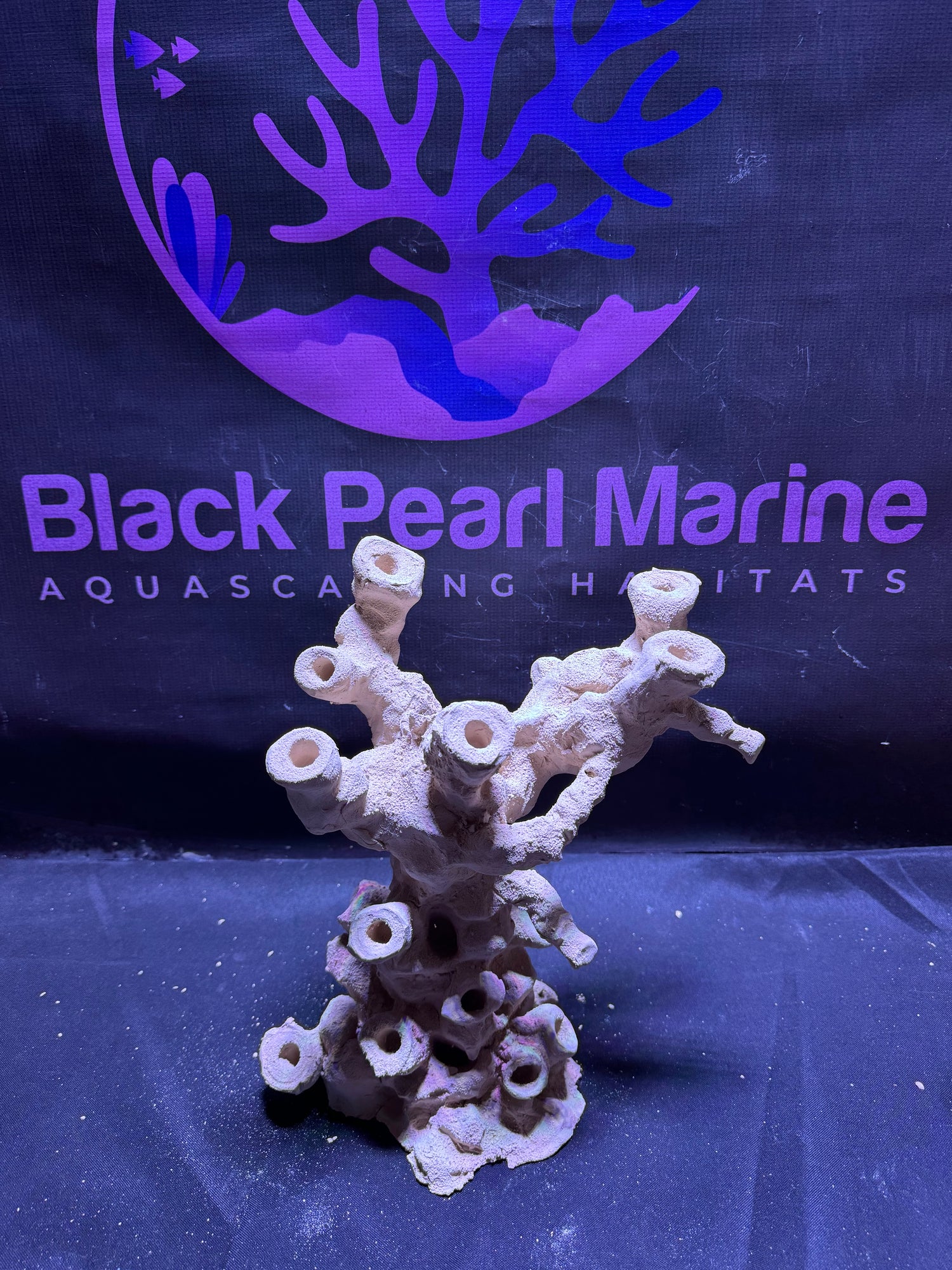 BPM Scape |Frag Pillar (070226) (L26cm/H26cm/D18cm)