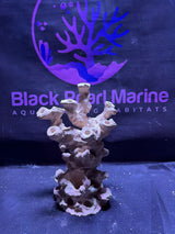 BPM Scape |Frag Pillar (110226) (L25cm/H32cm/D17cm)