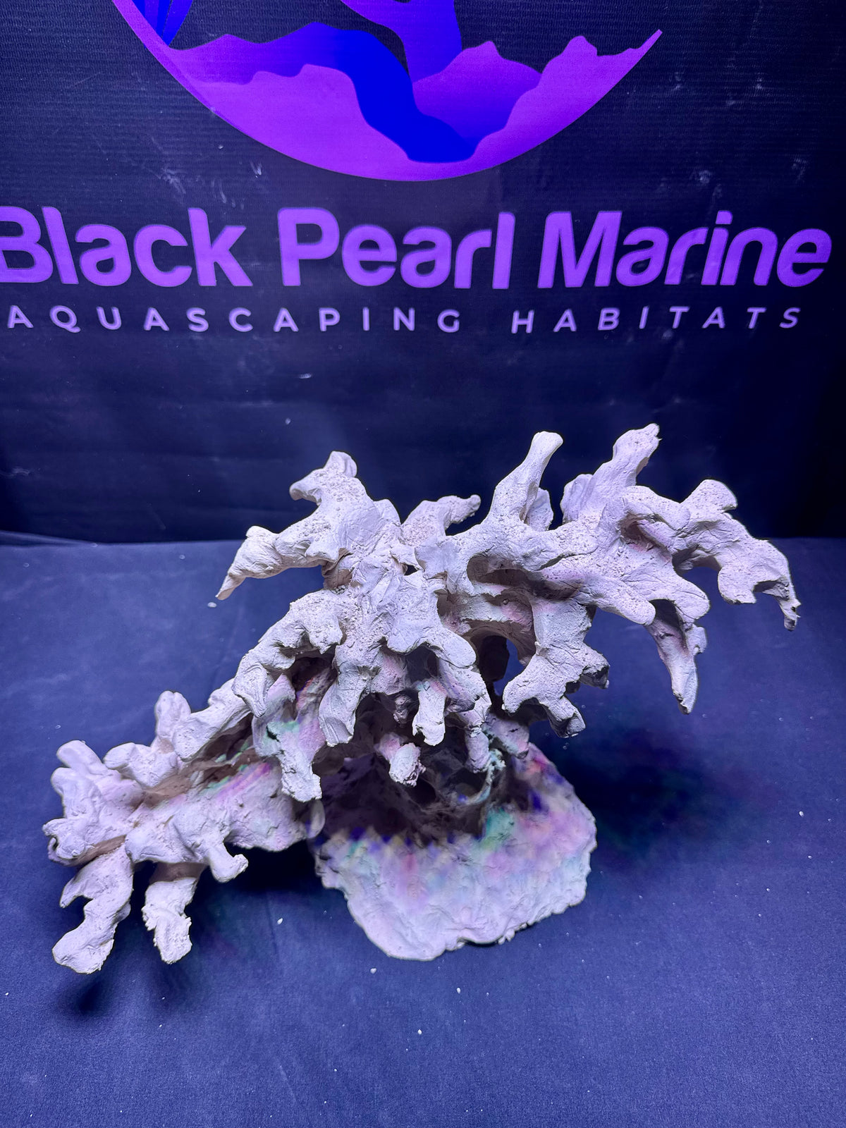 BPM Scape | Nano | #267414 | 37 × 24 × 22 cm