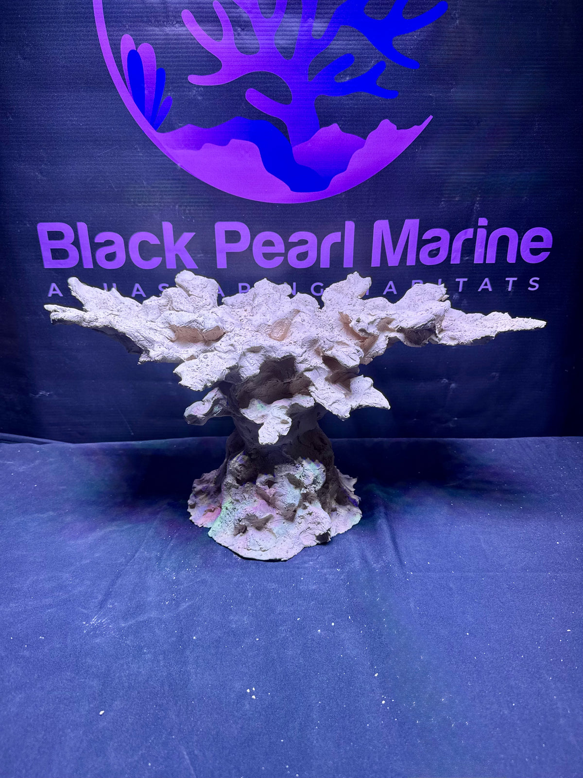 BPM Scape | Nano | #571029 | 40 × 22 × 23 cm