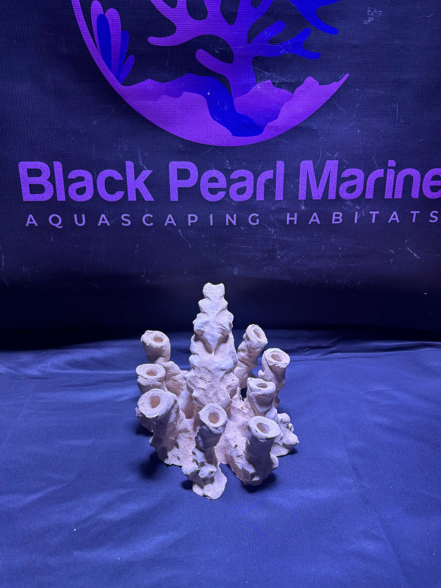 BPM Scape | Frag Octopus Pico | (330226) (L20cm/H16cm/D20cm)