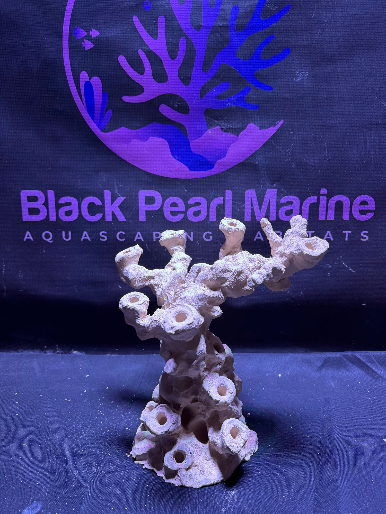 BPM Scape |Frag Pillar  (040226) (L28cm/H27cm/D22cm)