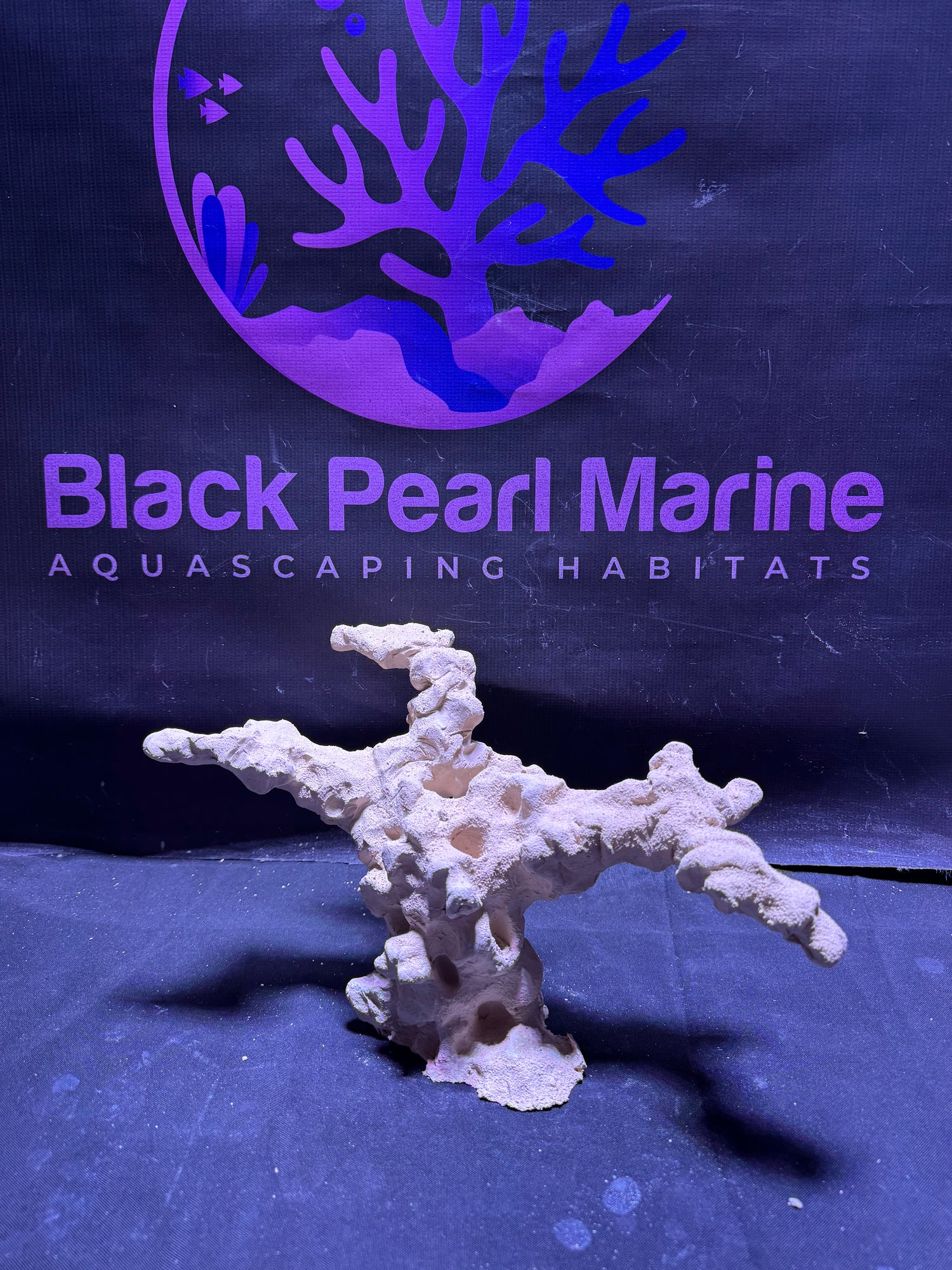 BPM Scape |Nano (091225)(L35cm/H19cm/D19cm