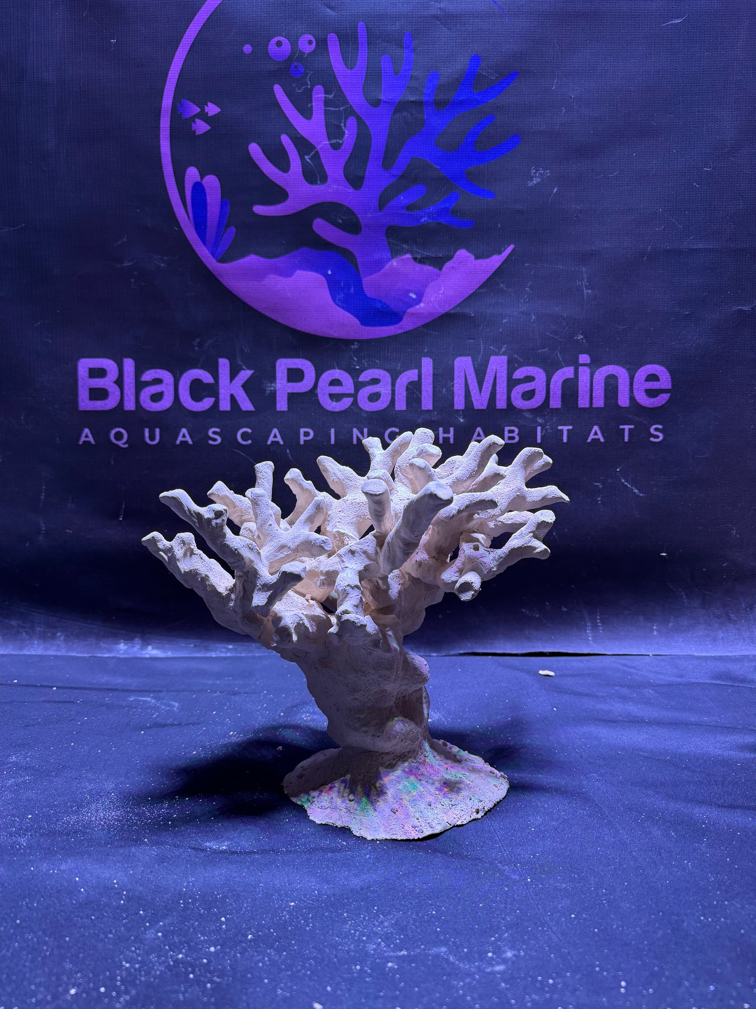 BPM Scape | Nano Branch| #030526 | L29cm | H21cm | D20cm