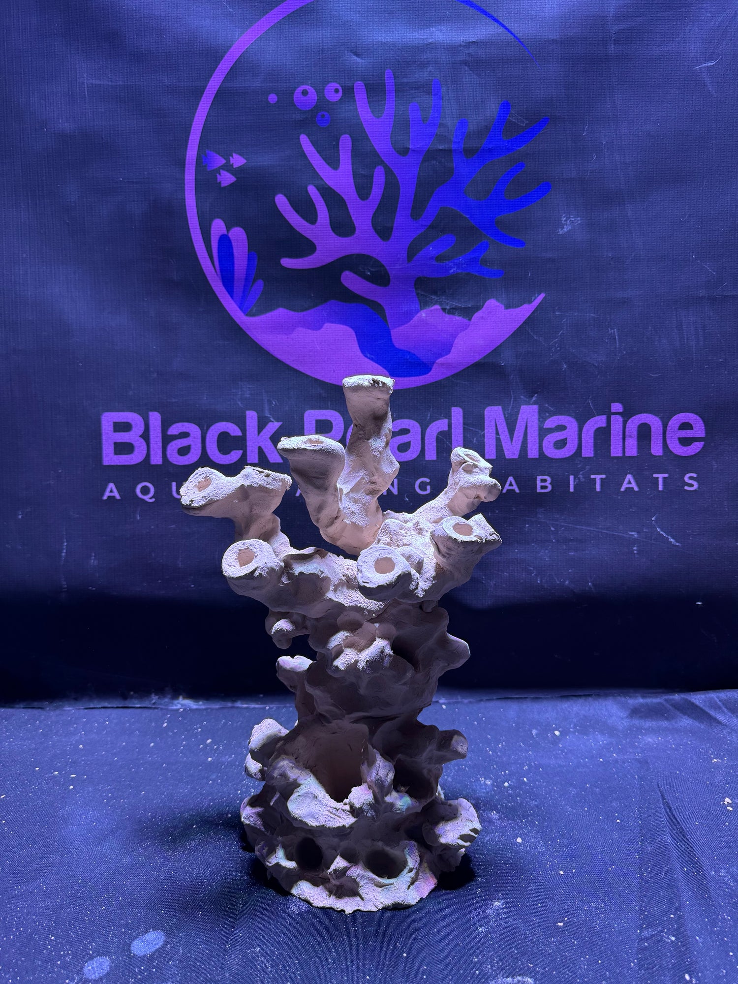 BPM Scape |Frag Pillar (110226) (L25cm/H32cm/D17cm)