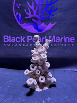 BPM Scape |Frag Pillar (141225) (L21cm/H29cm/D17cm)