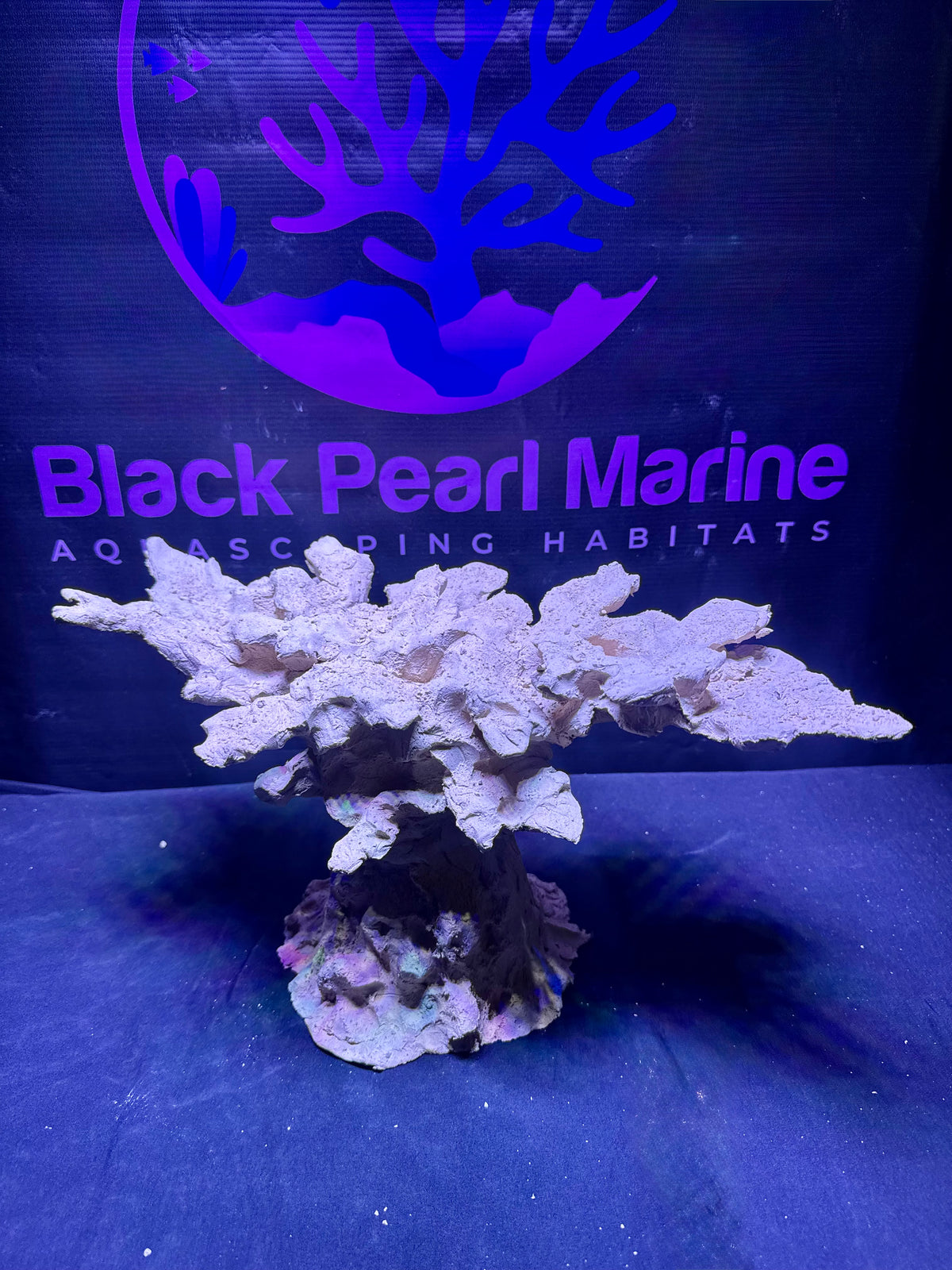BPM Scape | Nano | #571029 | 40 × 22 × 23 cm