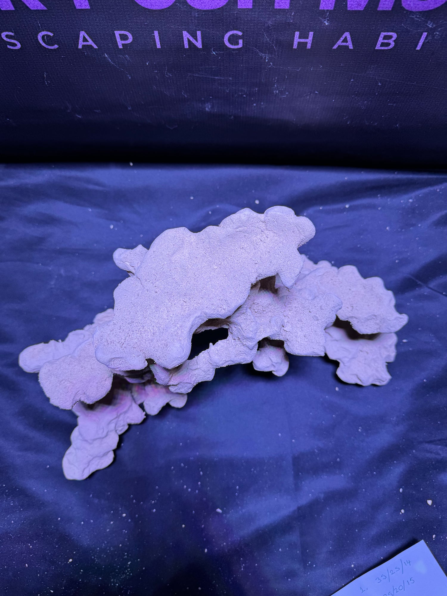 BPM Scape | Arch  |(390226) (L38cm/H20cm/D20cm)
