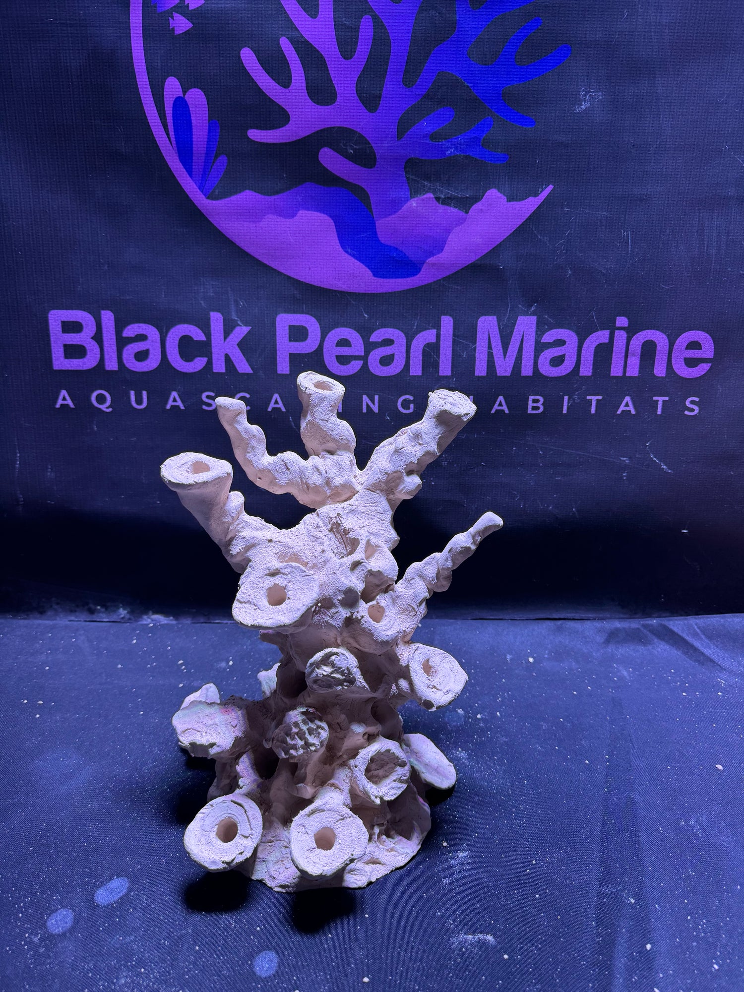 BPM Scape |Frag Stump (090226) (L22cm/H25cm/D23cm)